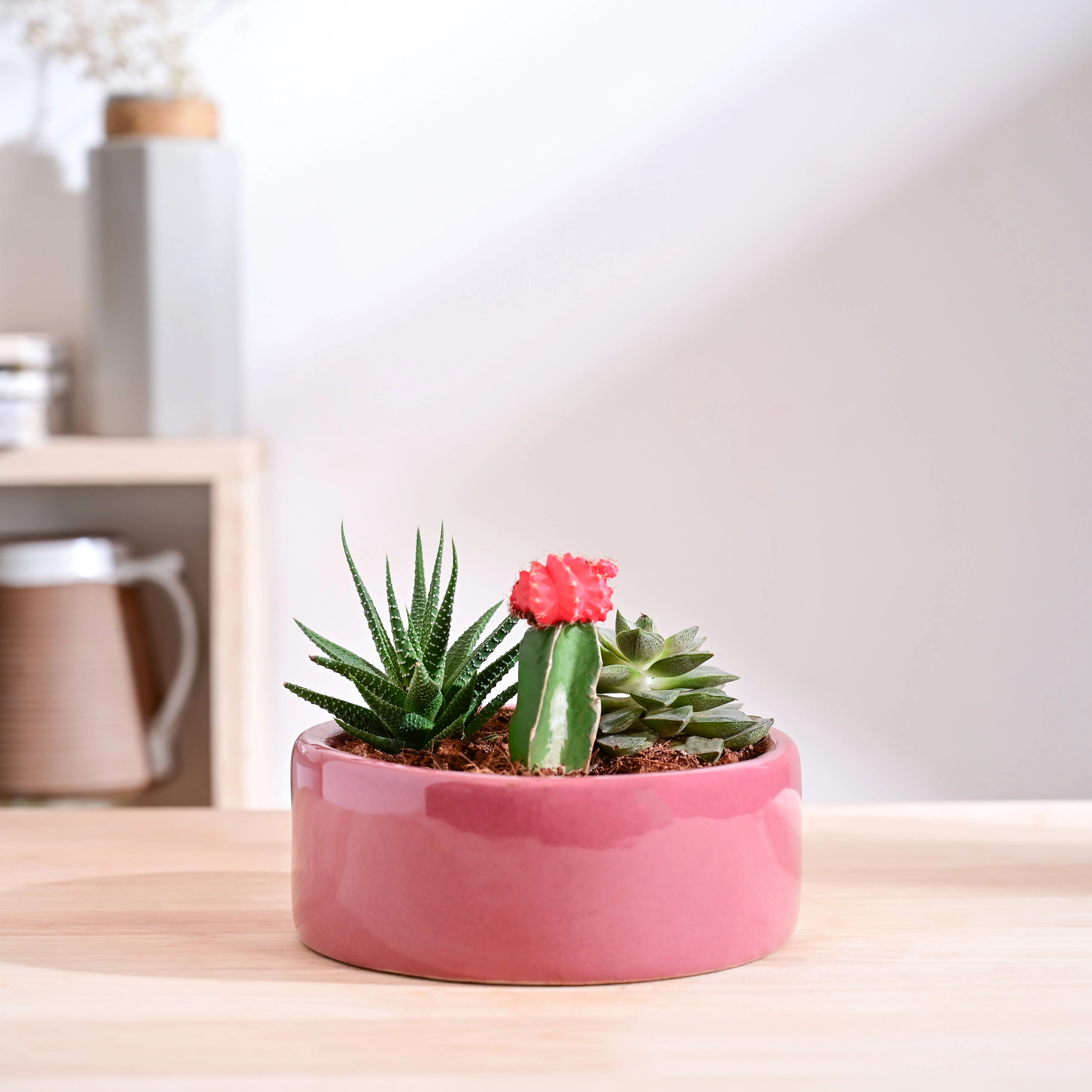 Lilac Stories Flat Ceramic Planter - Image 17