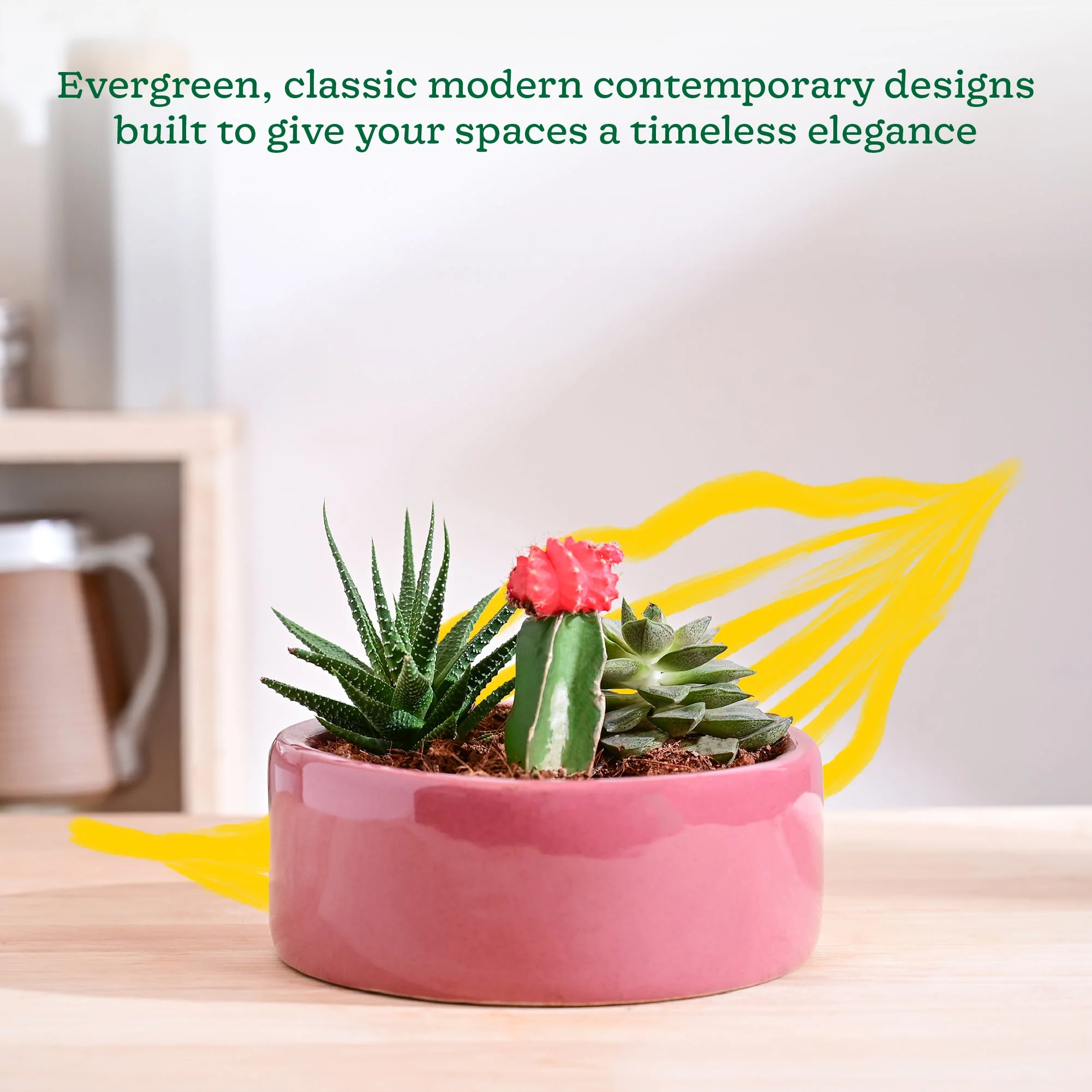 Lilac Stories Flat Ceramic Planter - Image 18