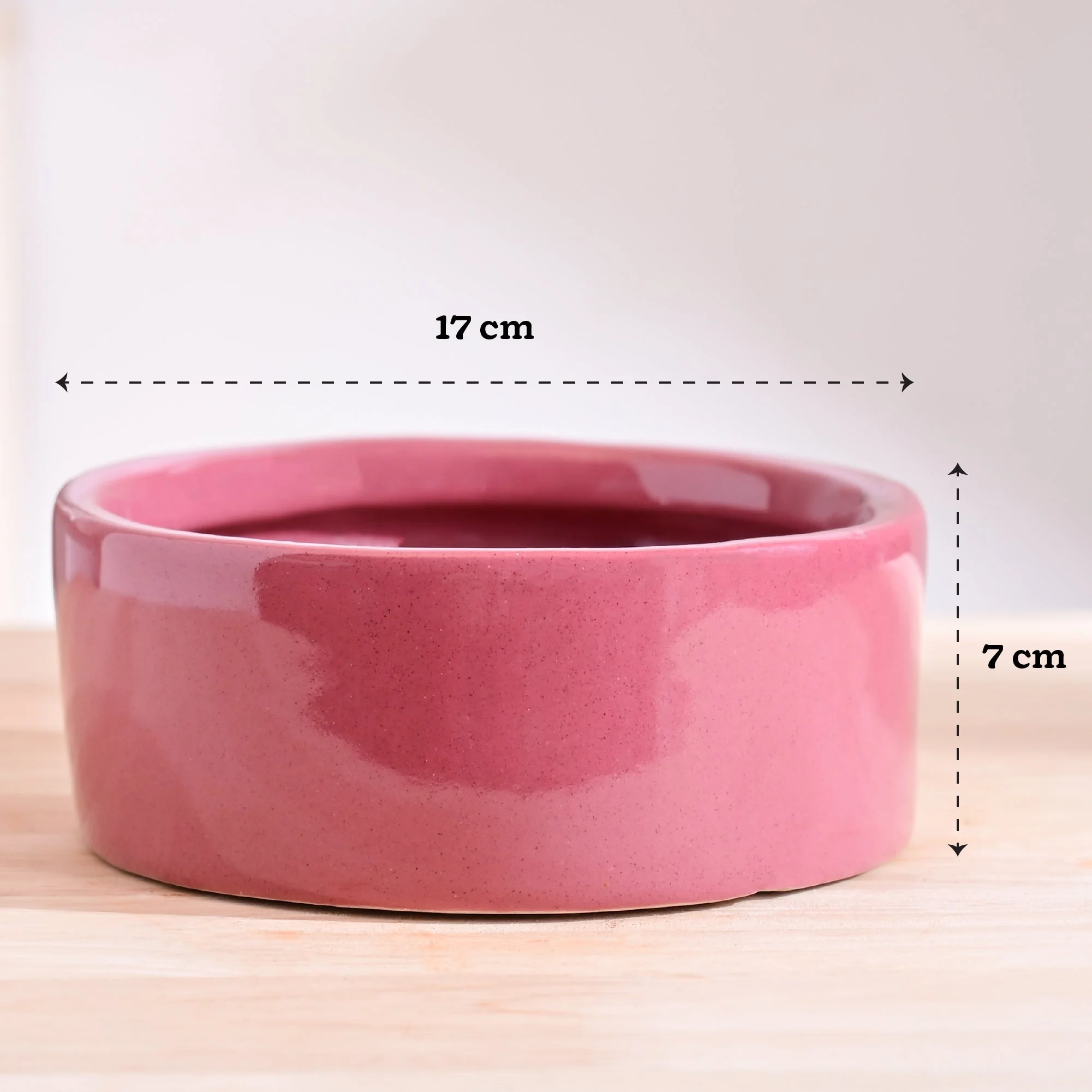 Lilac Stories Flat Ceramic Planter - Image 24