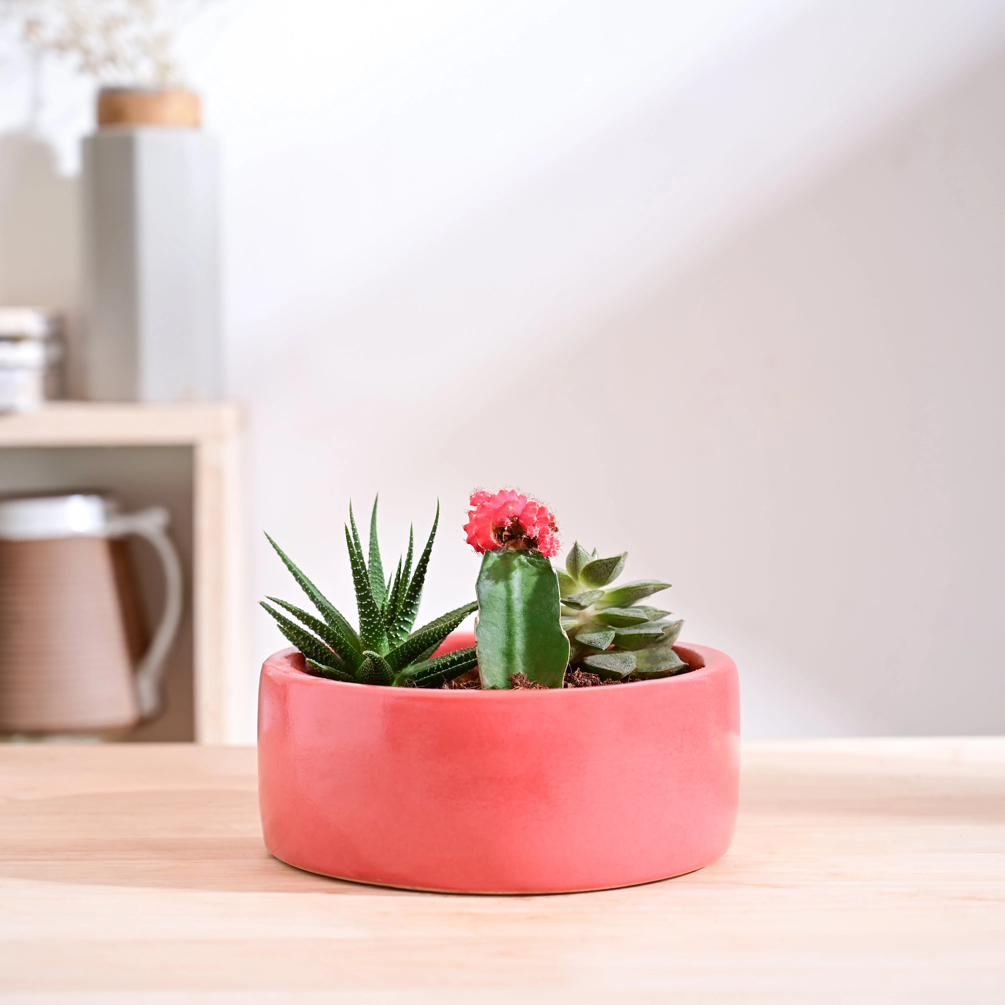 Lilac Stories Flat Ceramic Planter - Image 25