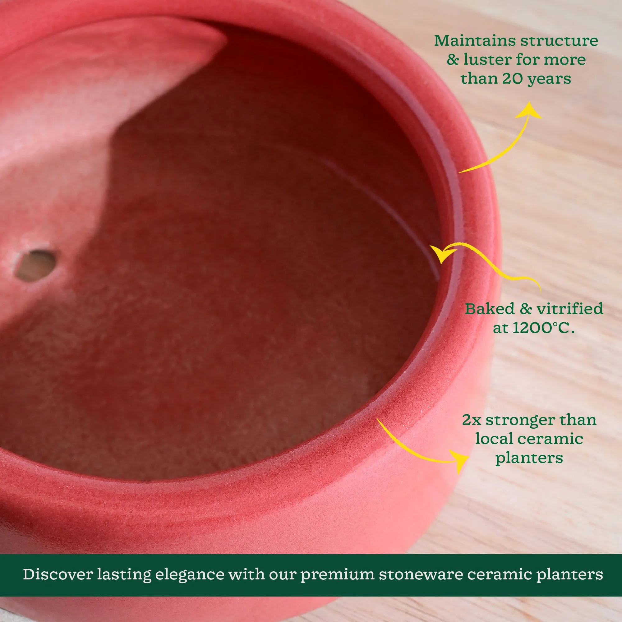 Lilac Stories Flat Ceramic Planter - Image 29