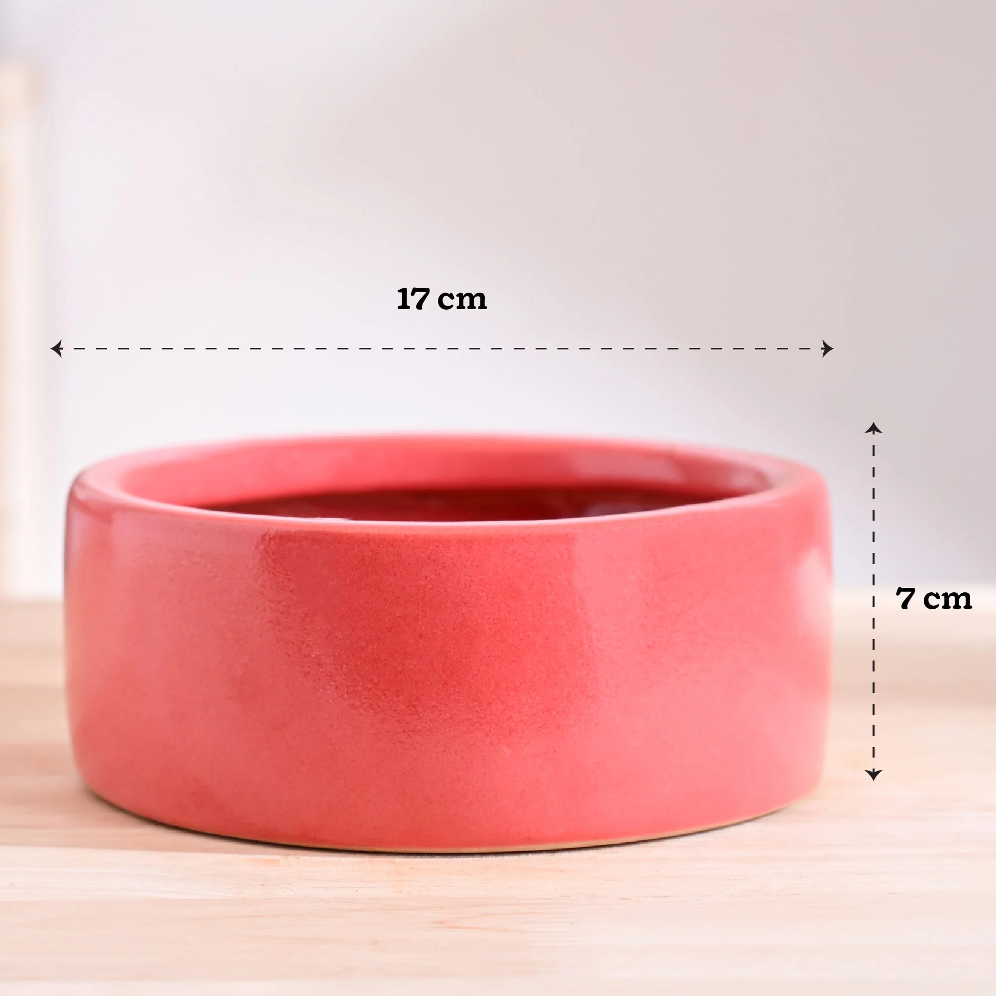 Lilac Stories Flat Ceramic Planter - Image 32