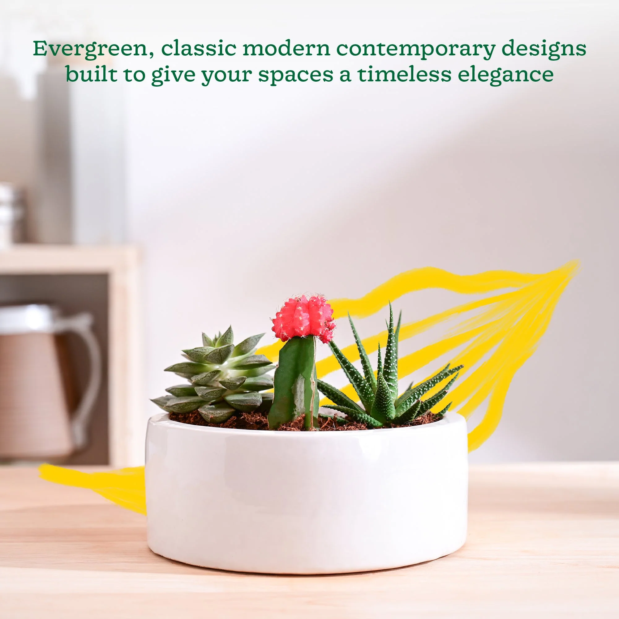 Lilac Stories Flat Ceramic Planter - Image 34
