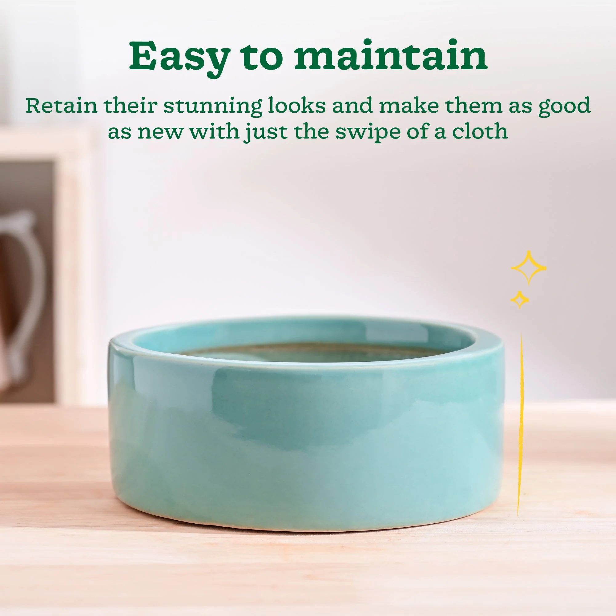 Lilac Stories Flat Ceramic Planter - Image 4