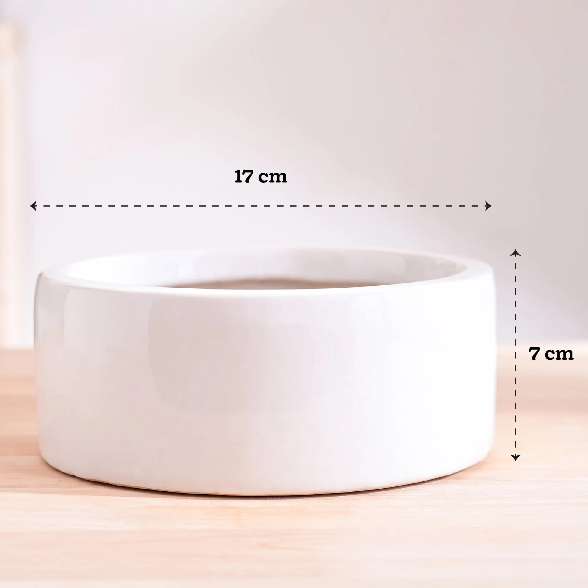 Lilac Stories Flat Ceramic Planter - Image 40