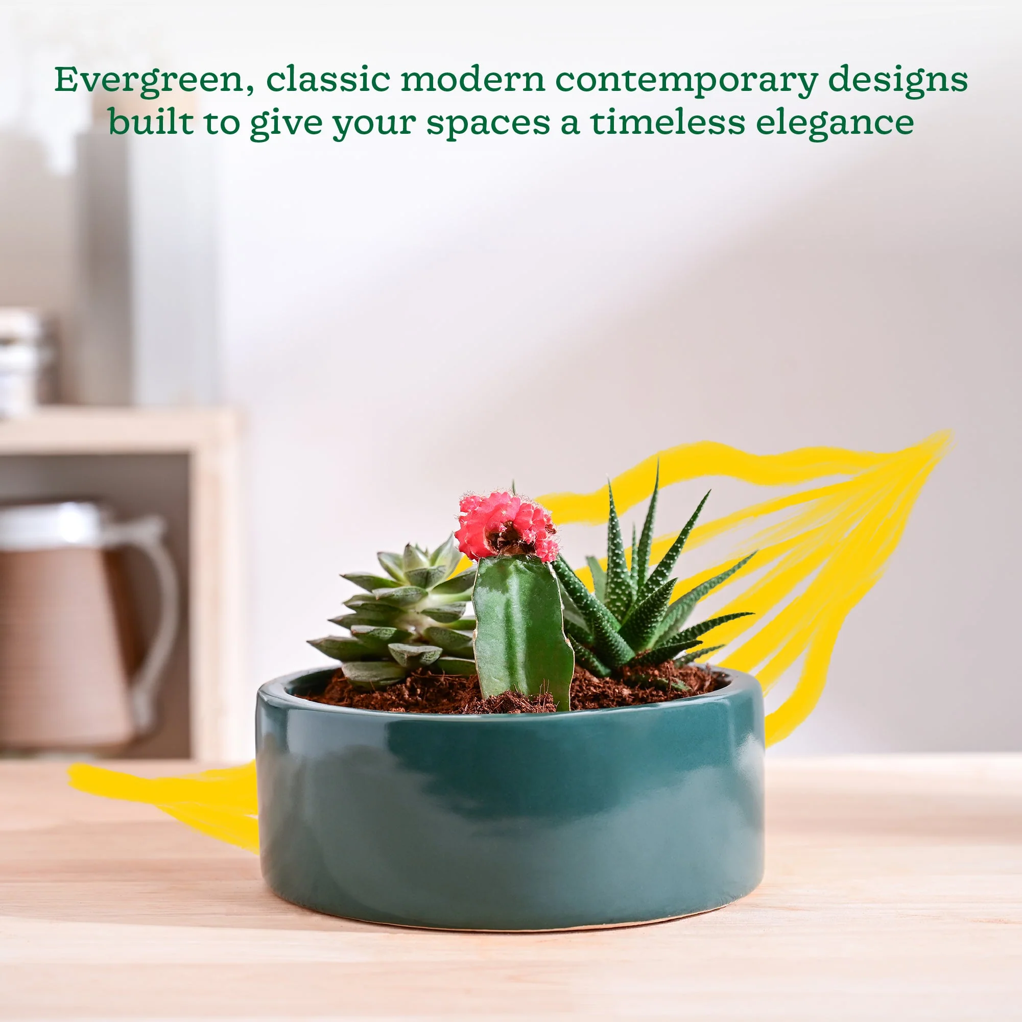 Lilac Stories Flat Ceramic Planter - Image 42