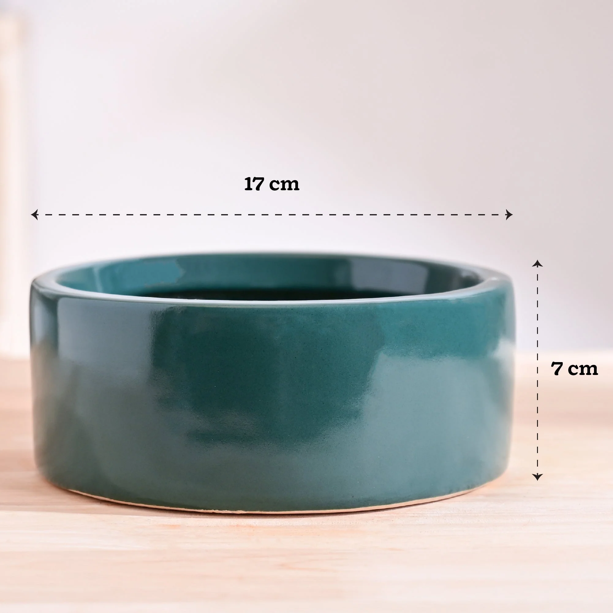 Lilac Stories Flat Ceramic Planter - Image 48