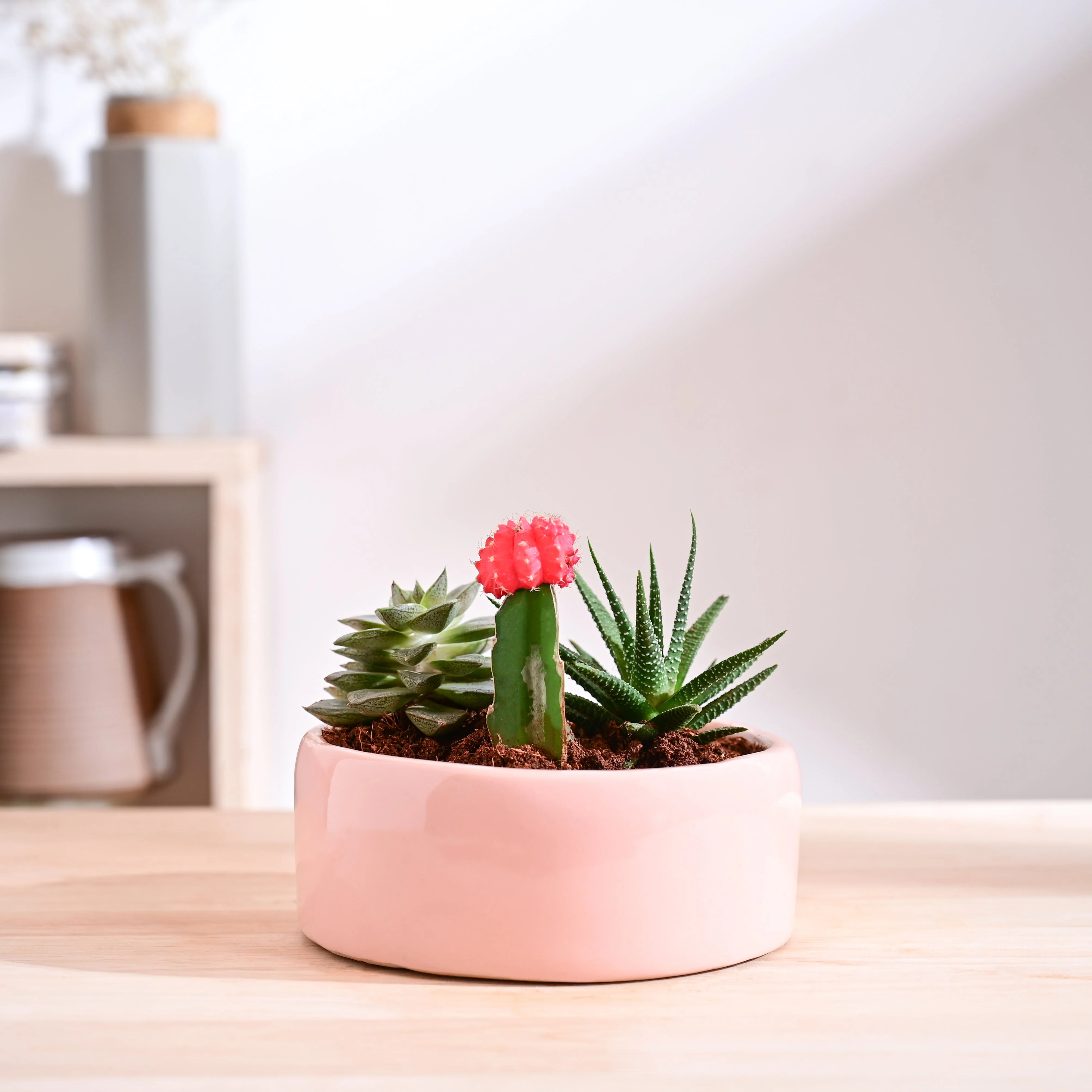 Lilac Stories Flat Ceramic Planter - Image 49