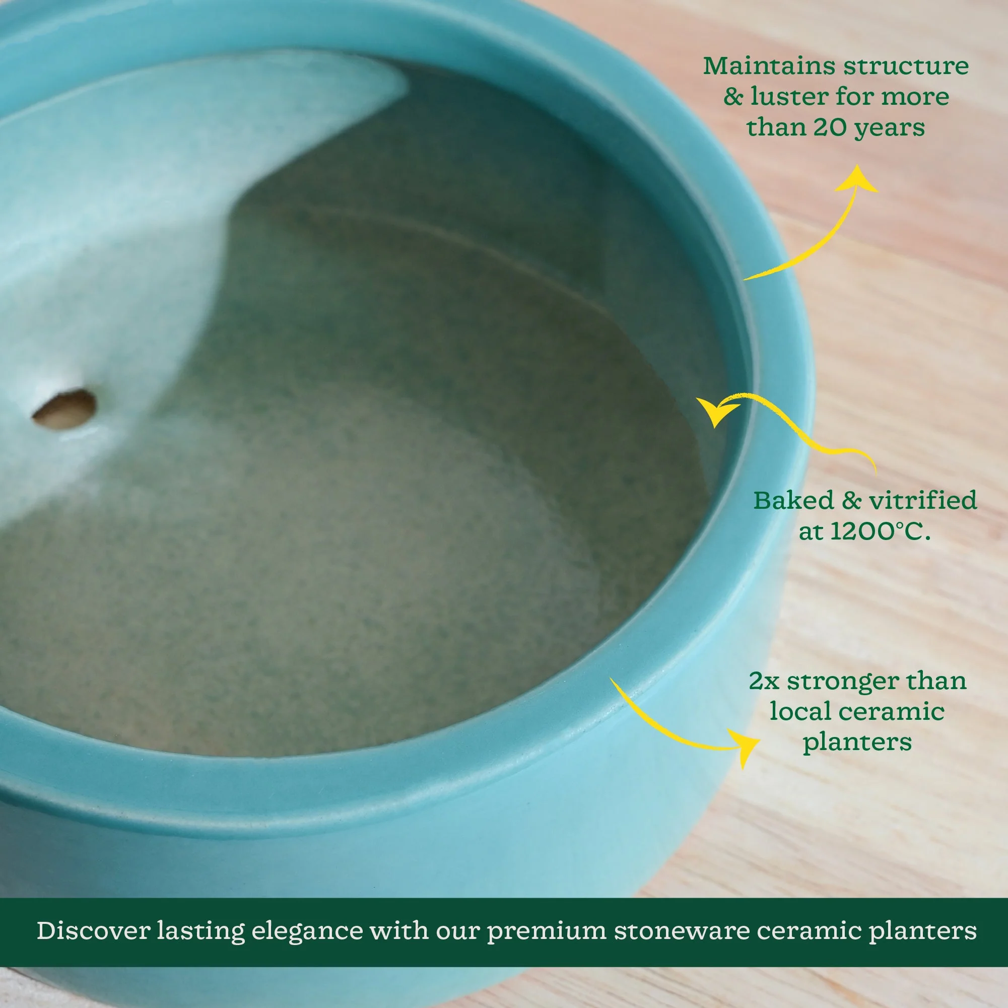 Lilac Stories Flat Ceramic Planter - Image 5