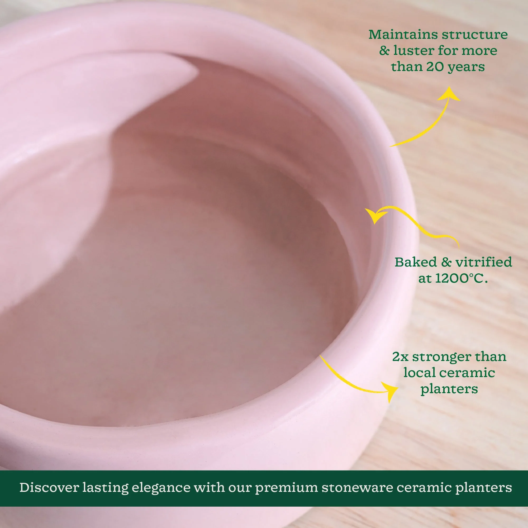 Lilac Stories Flat Ceramic Planter - Image 53
