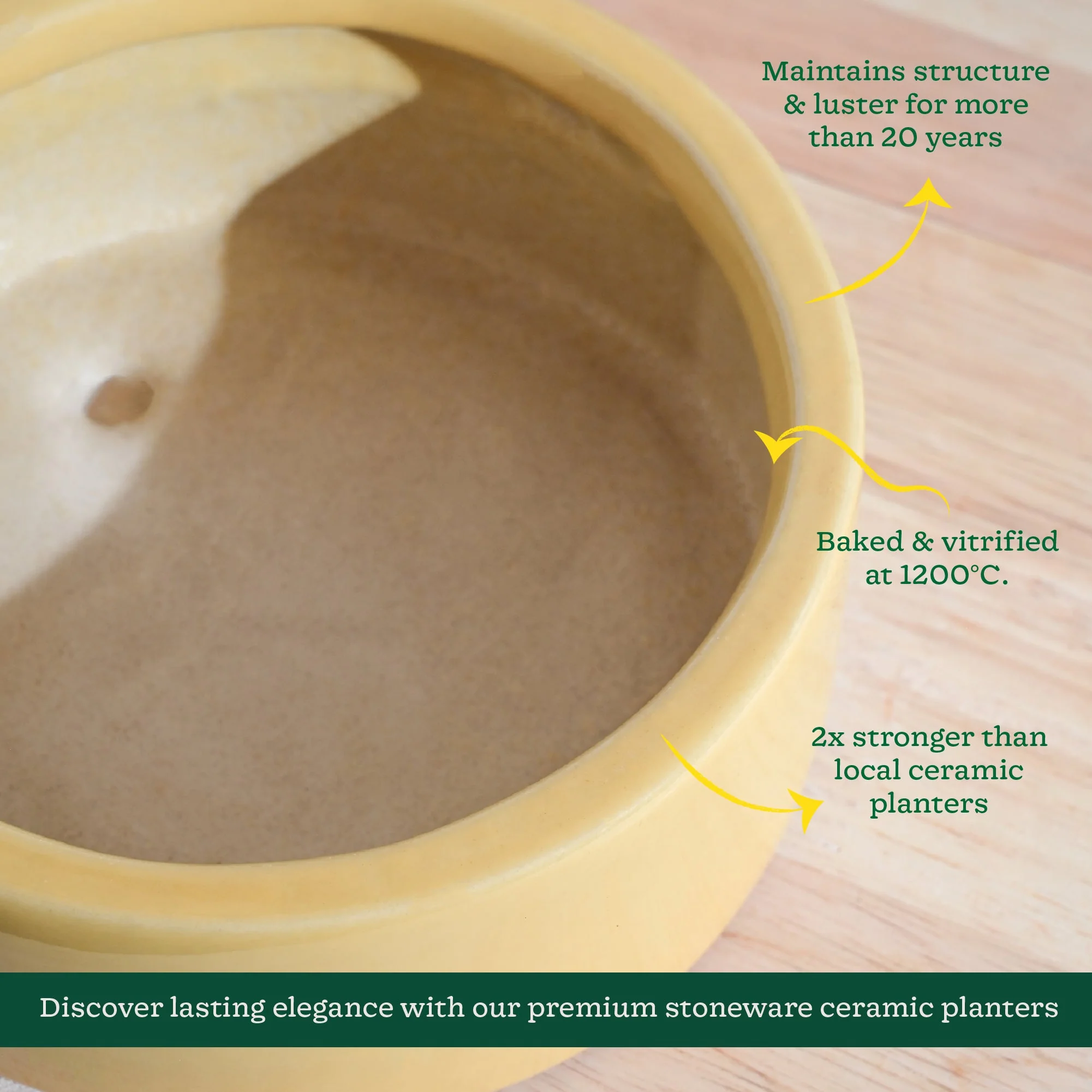 Lilac Stories Flat Ceramic Planter - Image 61