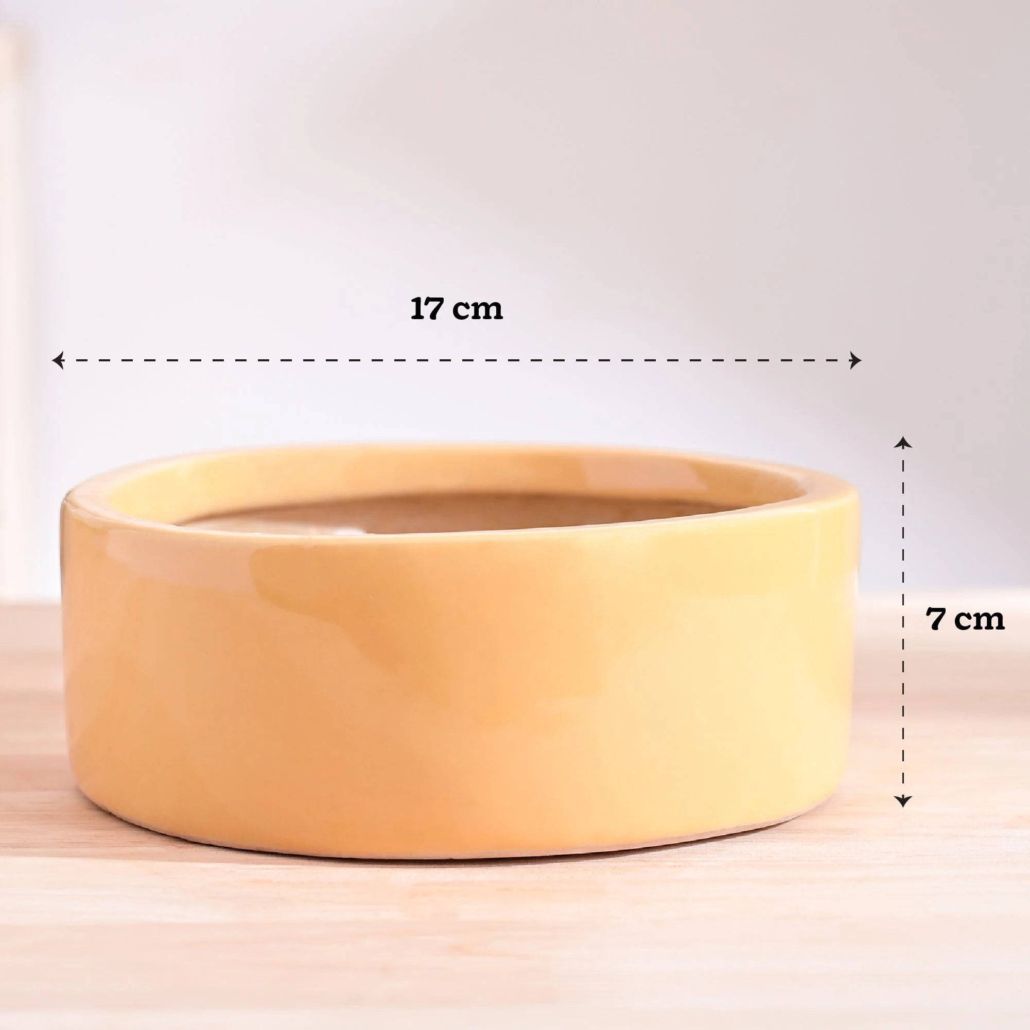 Lilac Stories Flat Ceramic Planter - Image 64