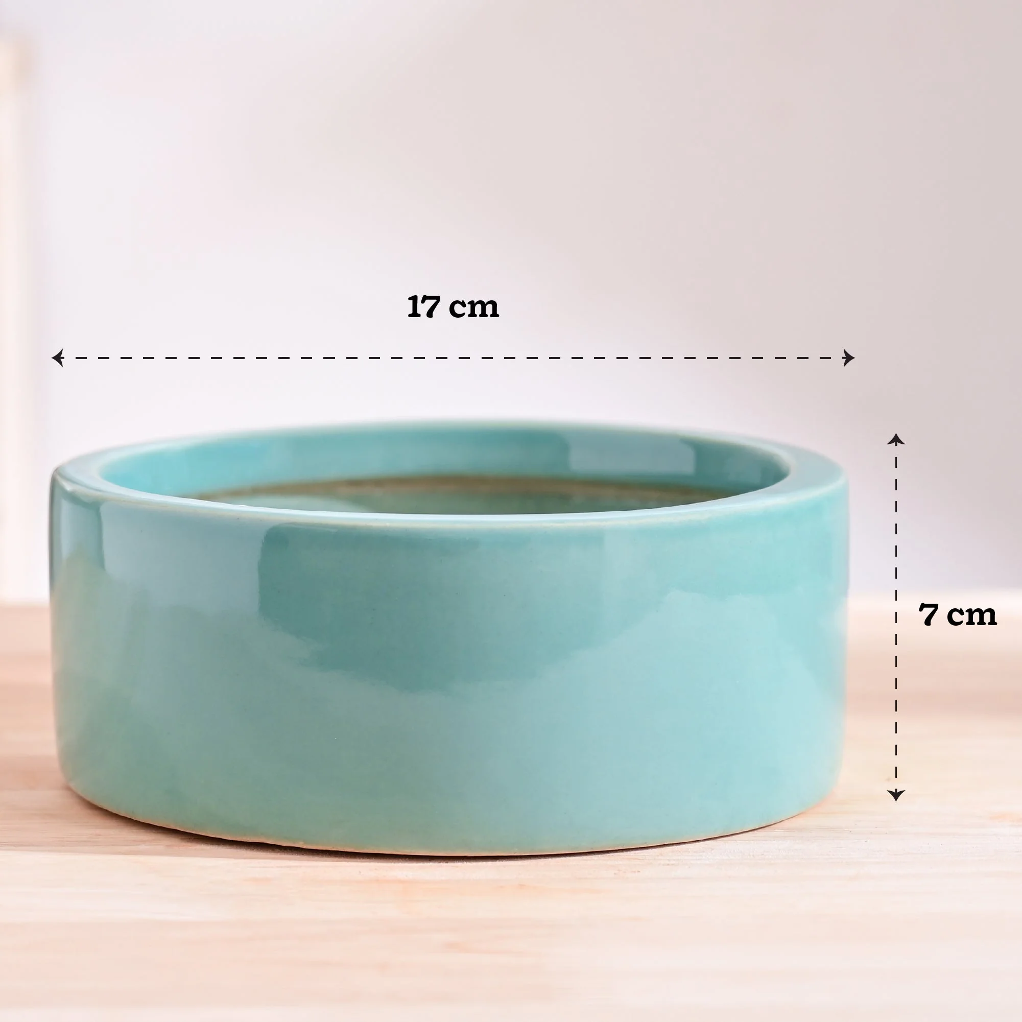 Lilac Stories Flat Ceramic Planter - Image 8