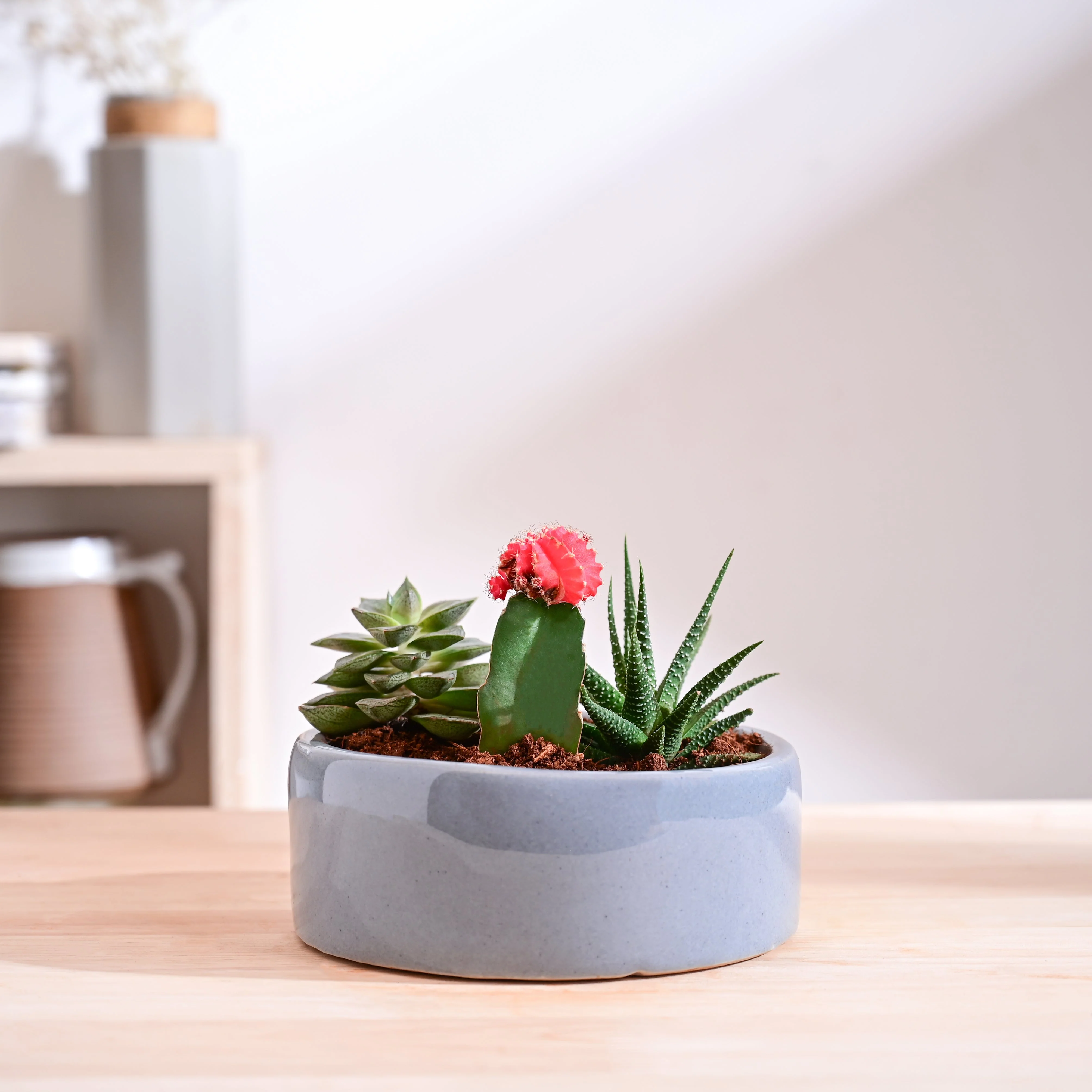 Lilac Stories Flat Ceramic Planter - Image 9