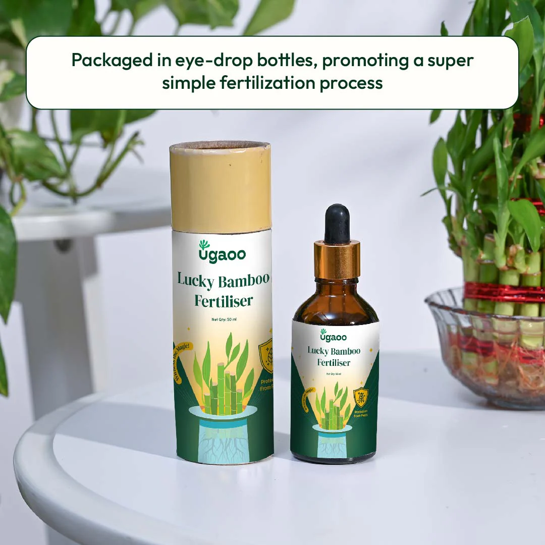 Lucky Bamboo Fertilizer - Image 5