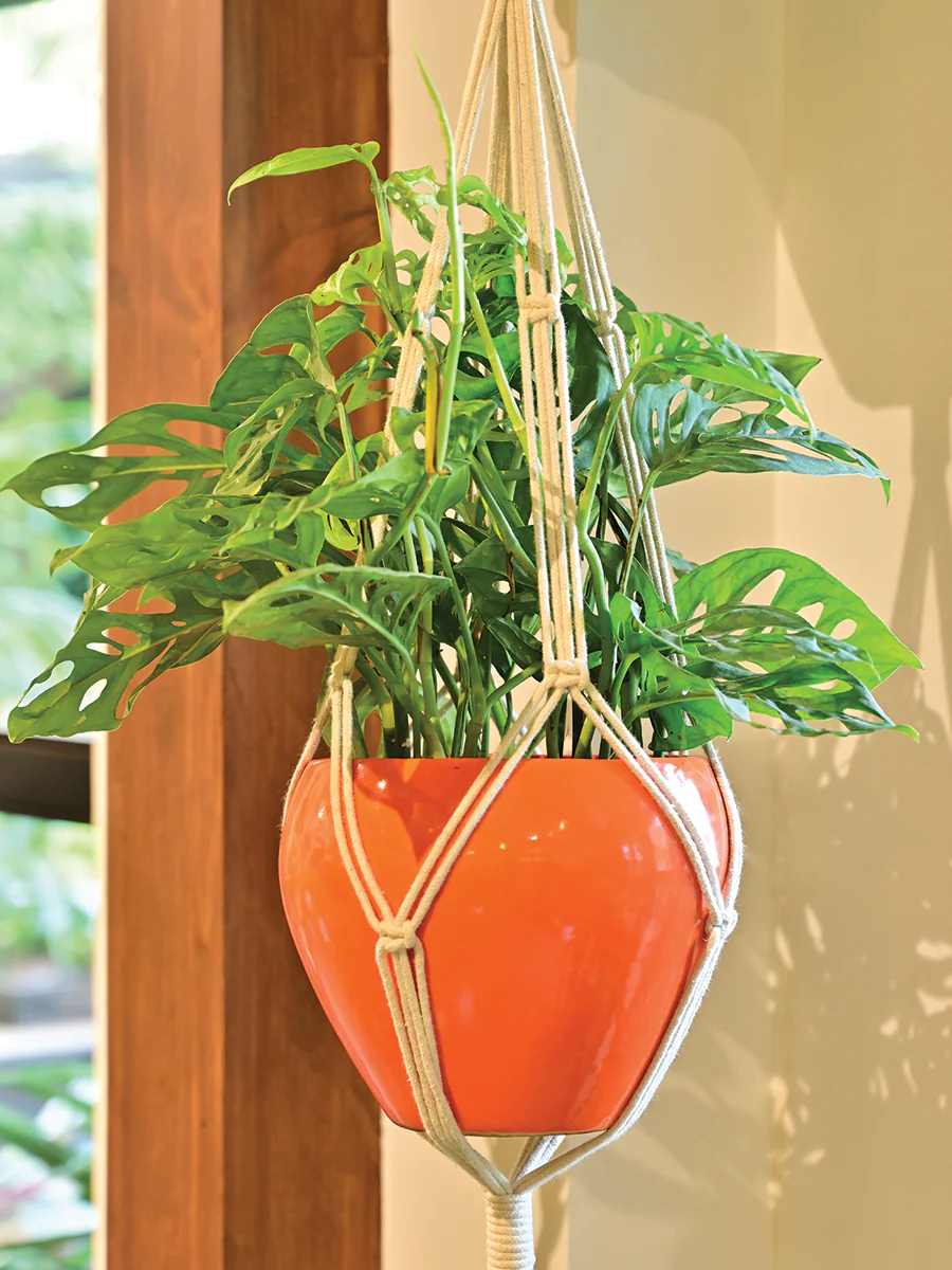 Macrame Three Layer Hanger - Image 2