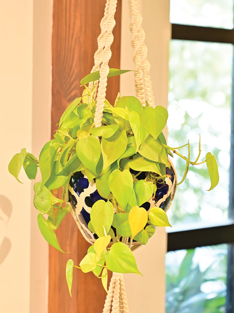 Macrame Two Layer Hanger - Image 3