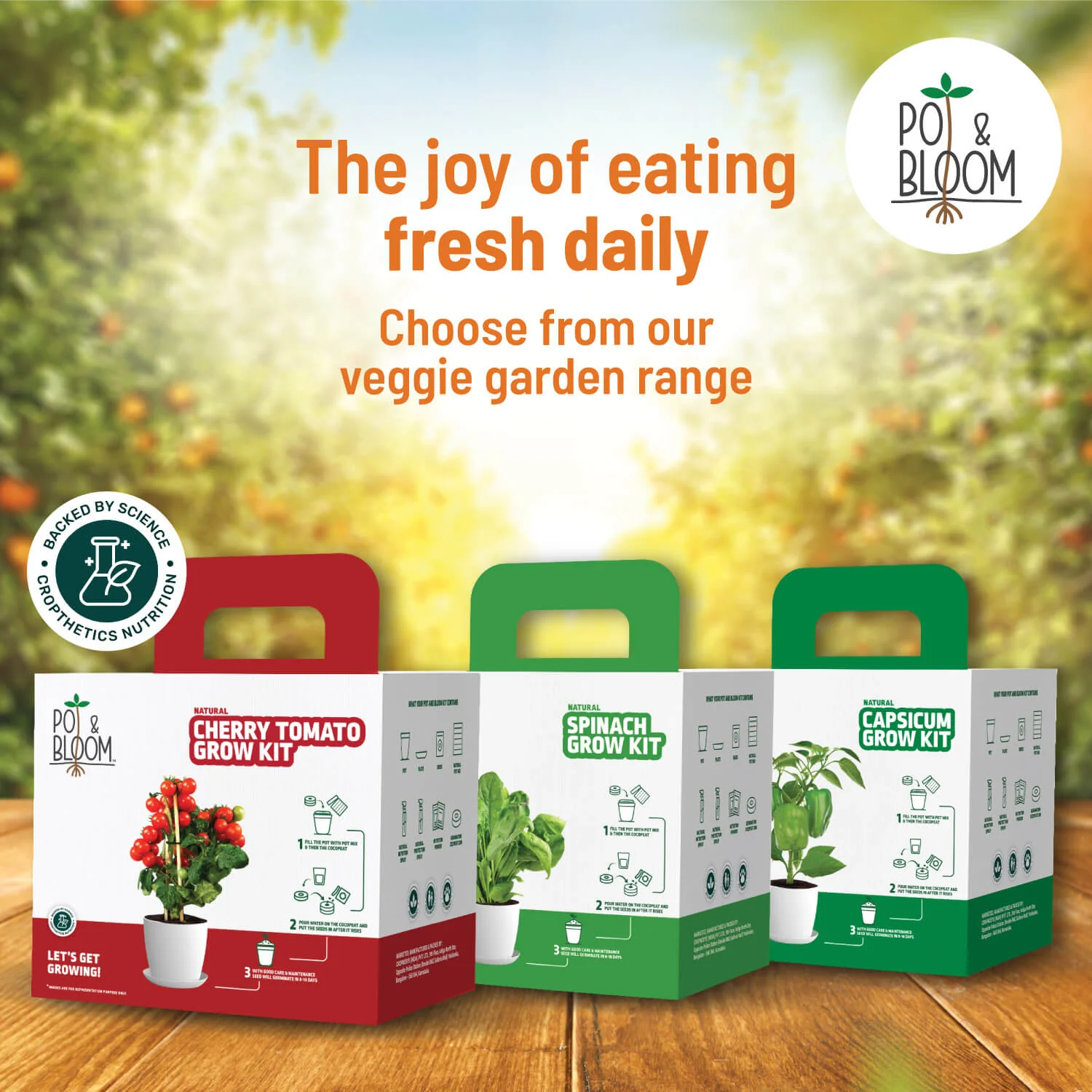 Marigold Grow Kit - Image 6