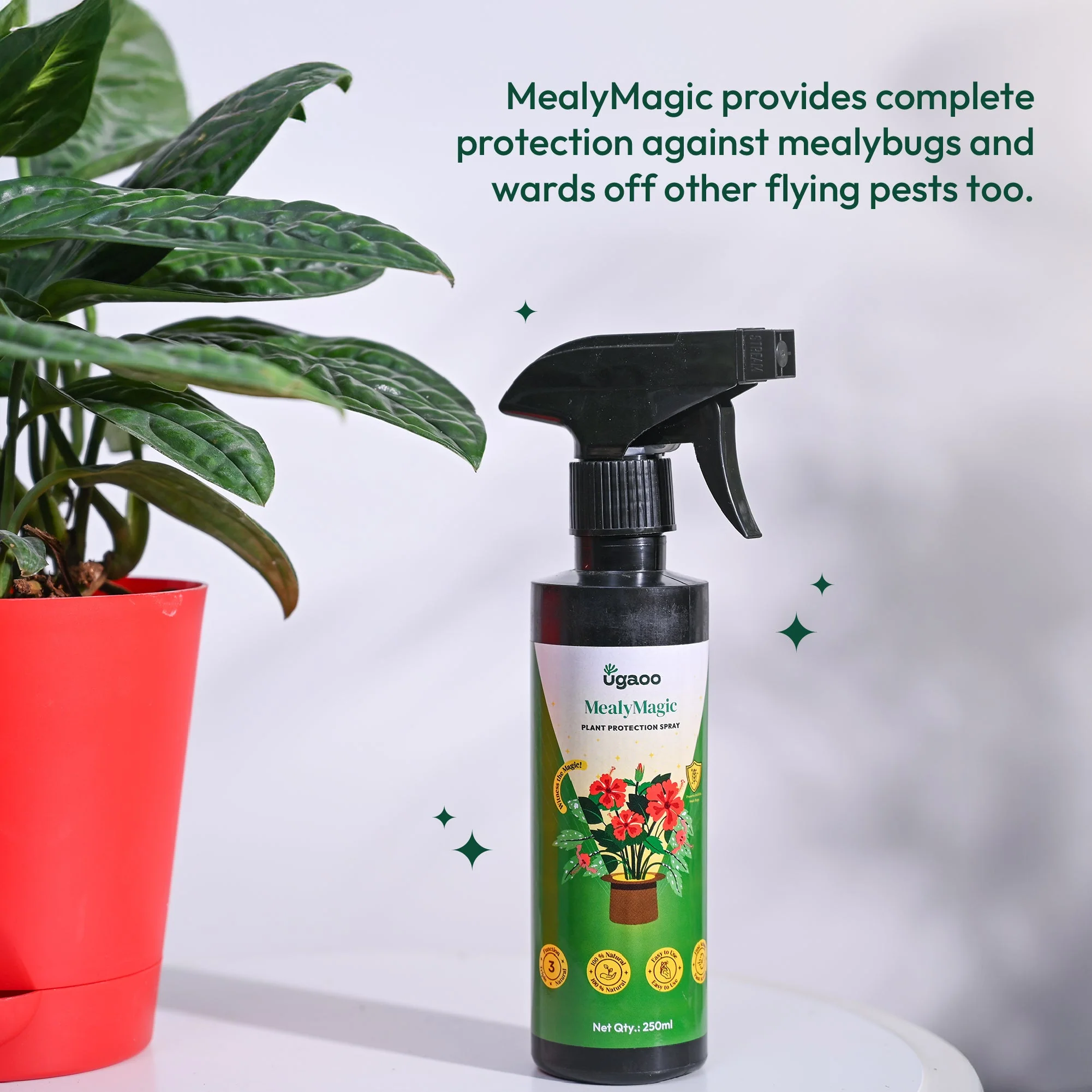 Mealybug Magic Spray for Plant Protection - Image 11