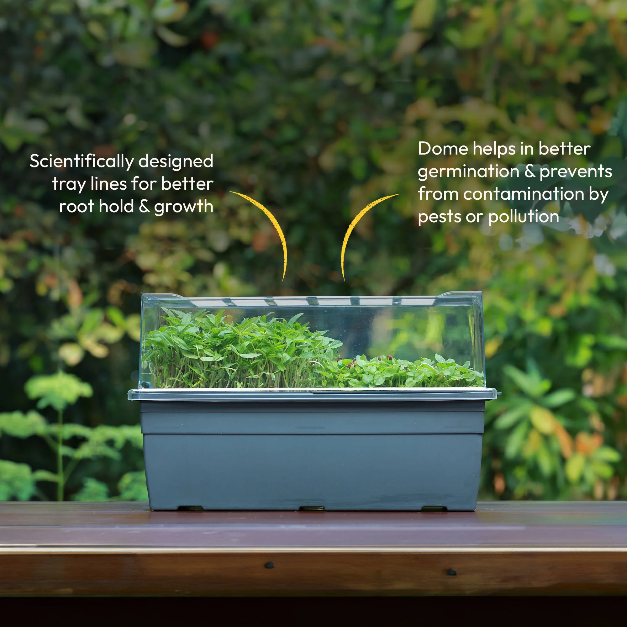 Microgreens Growing Tray - Image 3