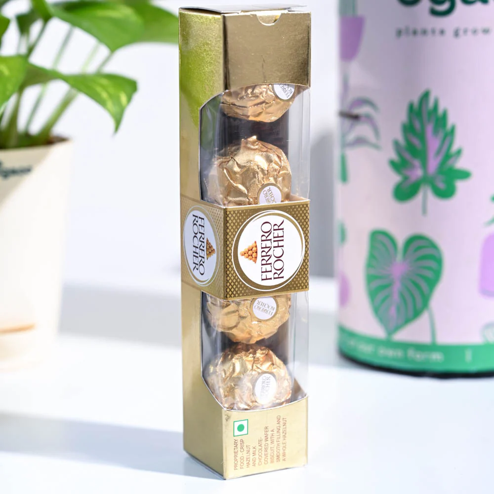 Money Plant Variegated Birthday Gift Hamper - Image 5