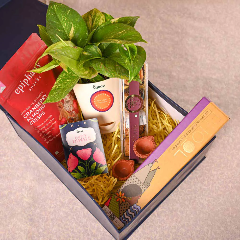 Money Plant Variegated & Phool Diwali Gift Hamper - Image 9