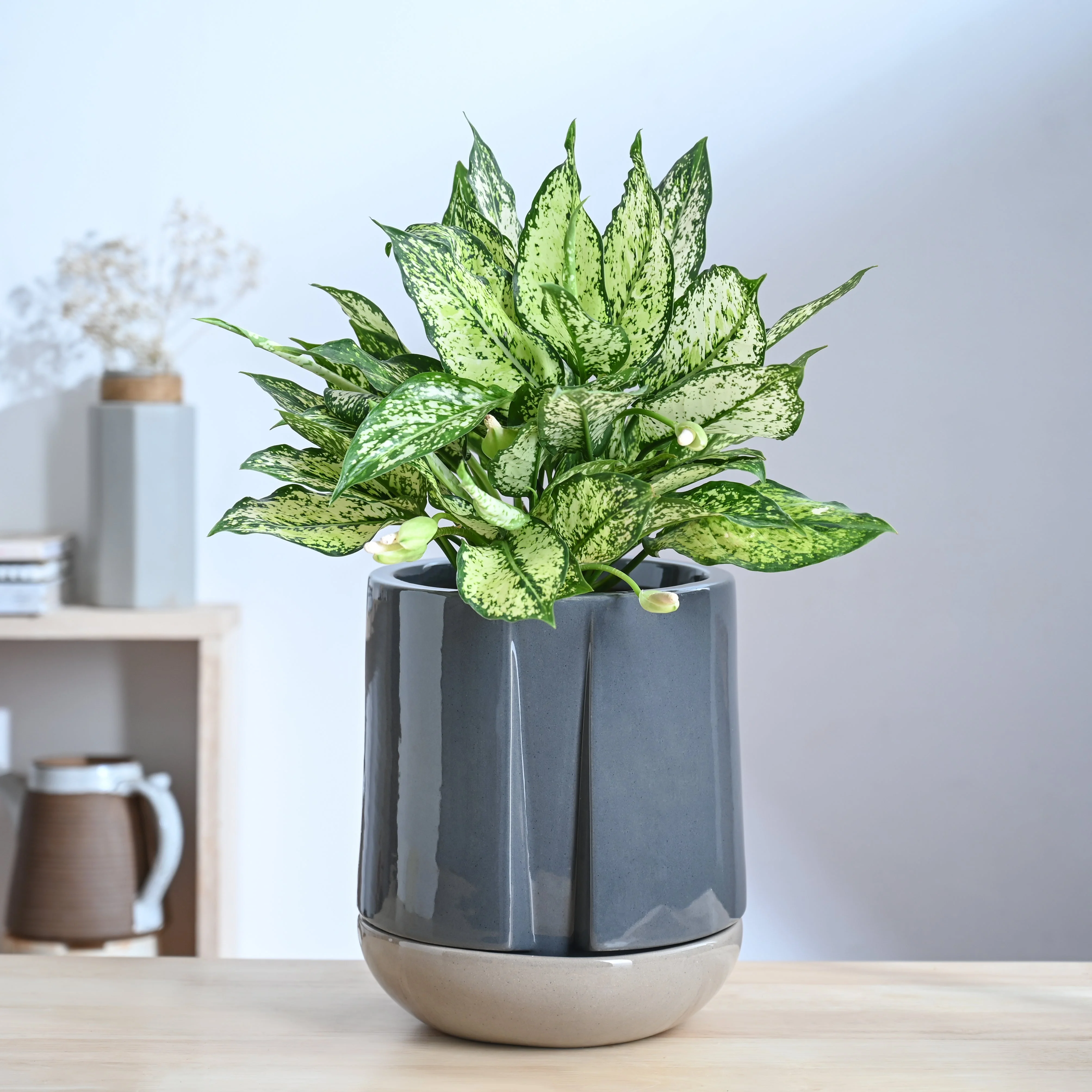 Moonlight Drama Ceramic Planter - Image 17