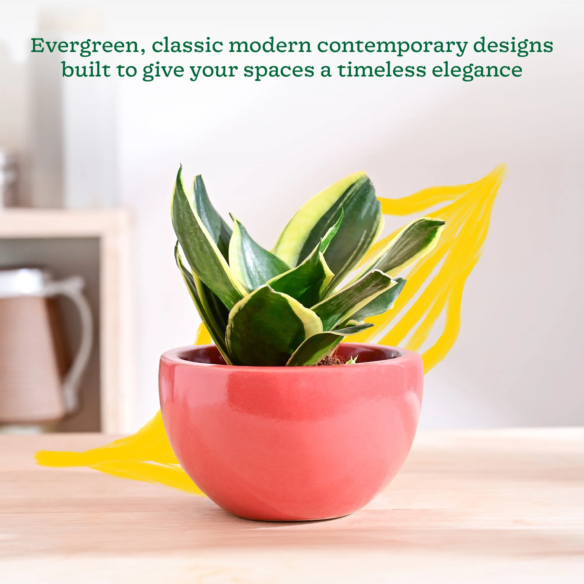 Nature's Hum Fat Ceramic Planter - Image 42