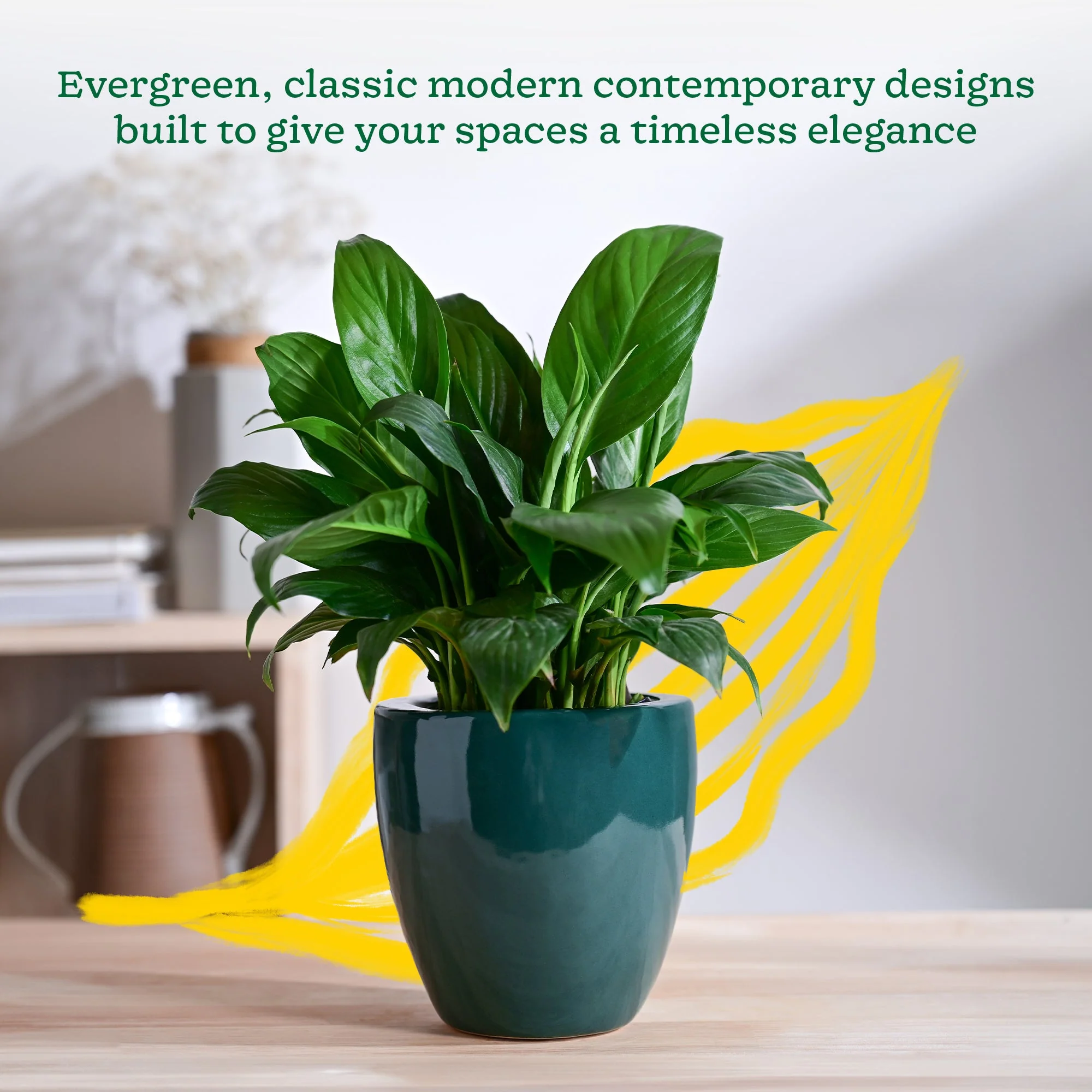 Nature's Hum Slim Ceramic Planter - Image 10