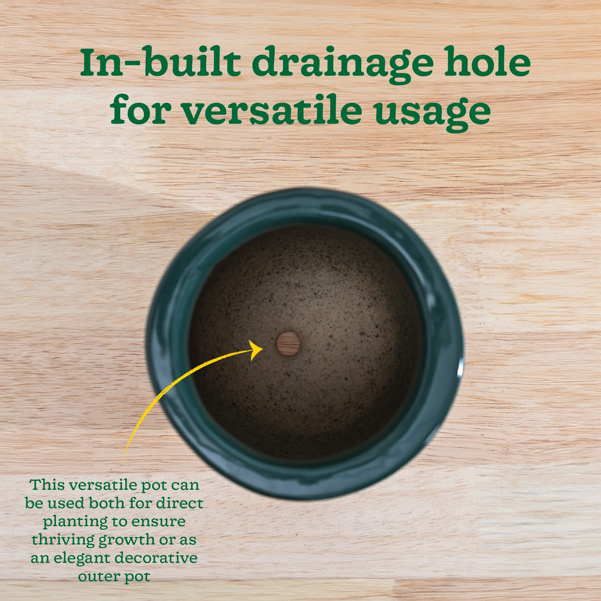 Nature's Hum Slim Ceramic Planter - Image 15