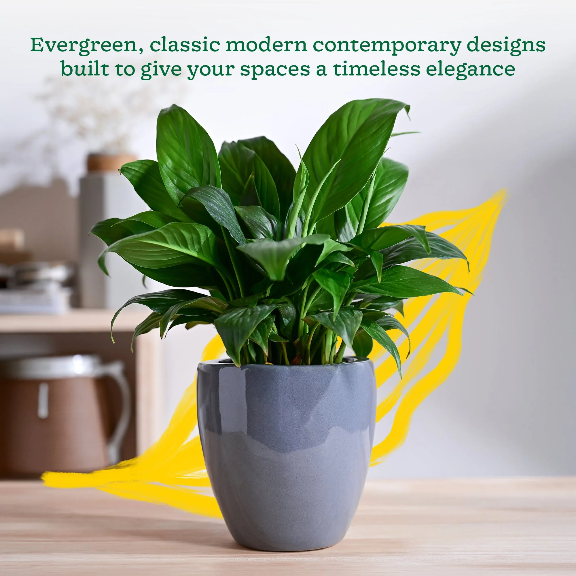 Nature's Hum Slim Ceramic Planter - Image 18