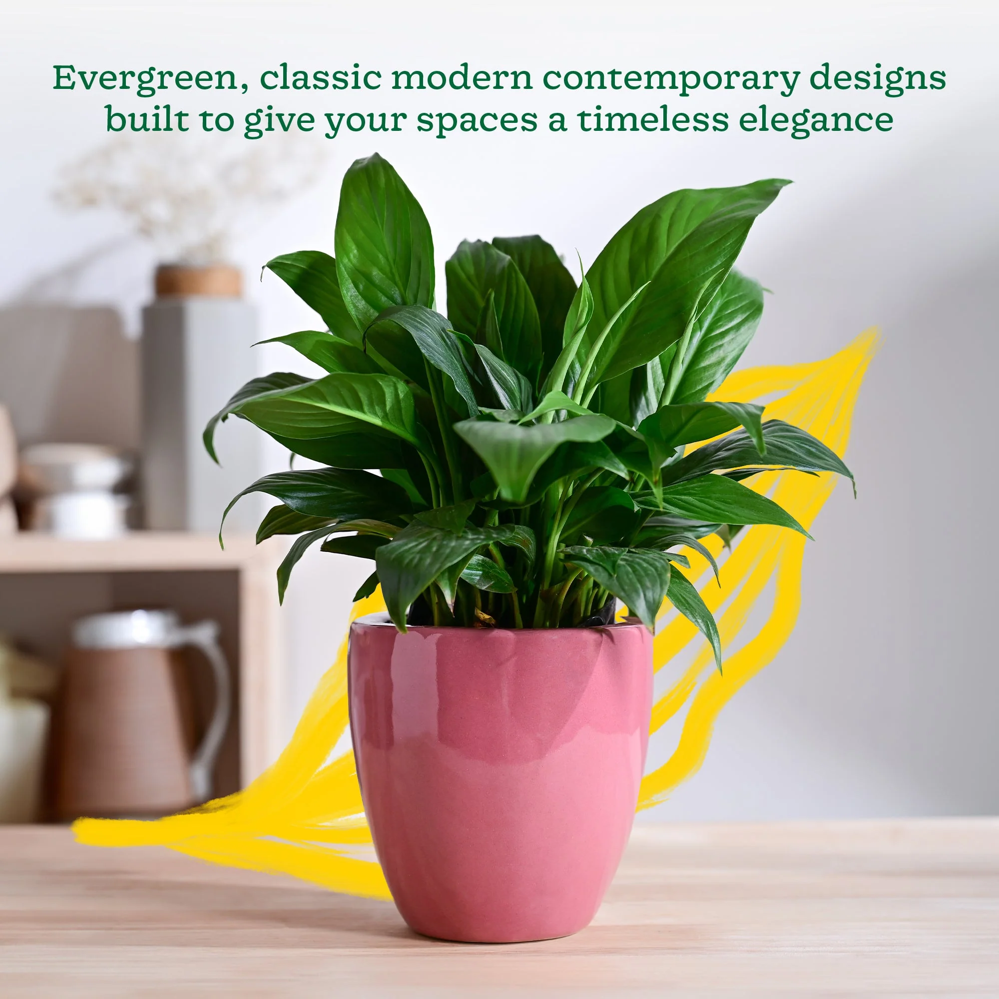 Nature's Hum Slim Ceramic Planter - Image 26