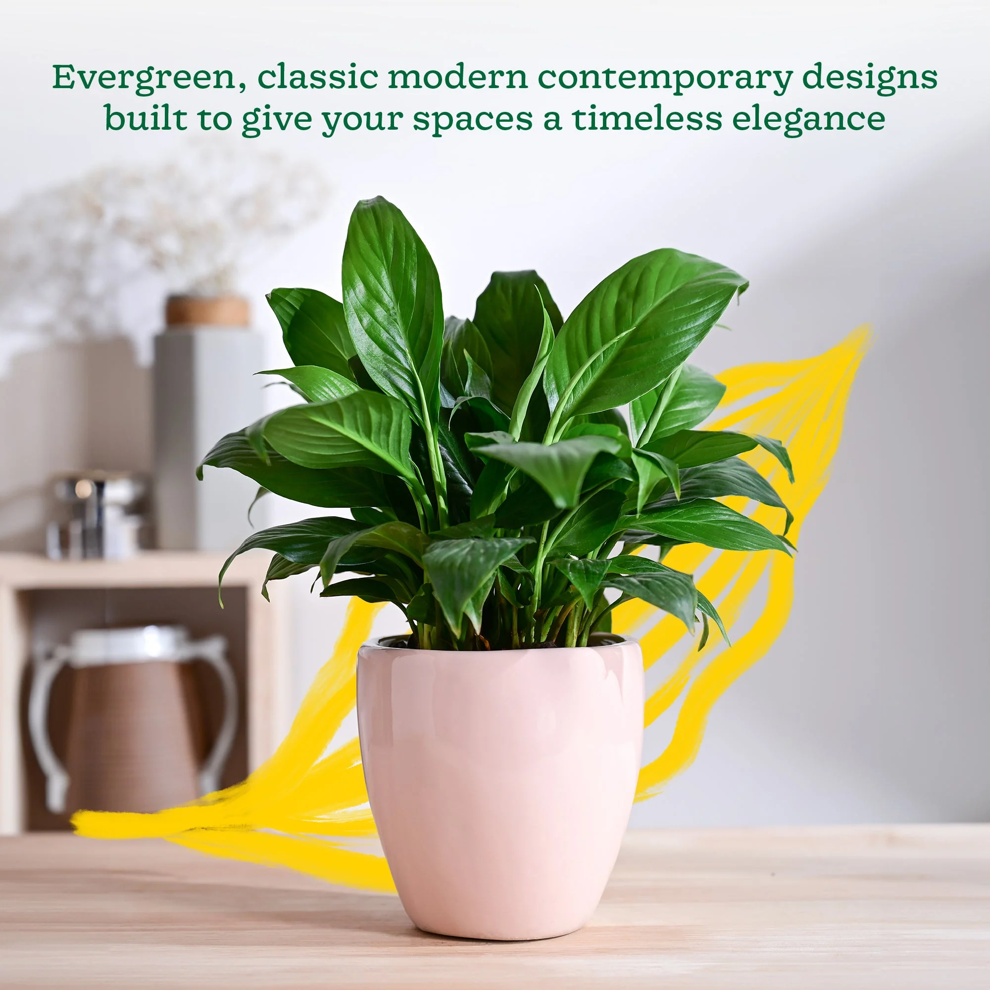 Nature's Hum Slim Ceramic Planter - Image 35