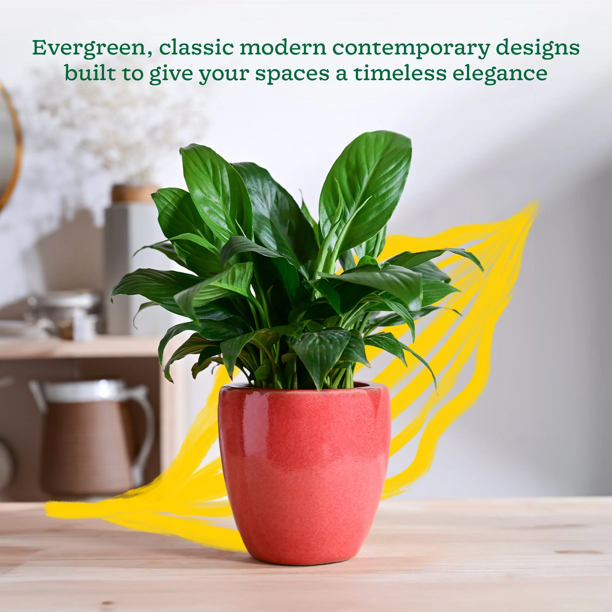 Nature's Hum Slim Ceramic Planter - Image 43