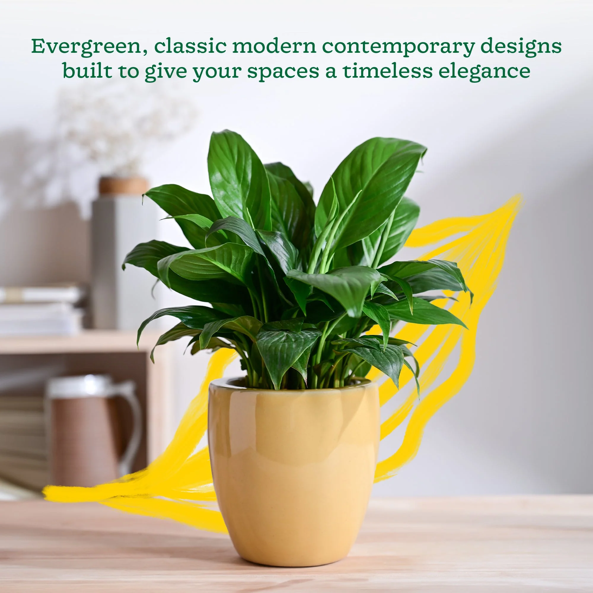 Nature's Hum Slim Ceramic Planter - Image 51