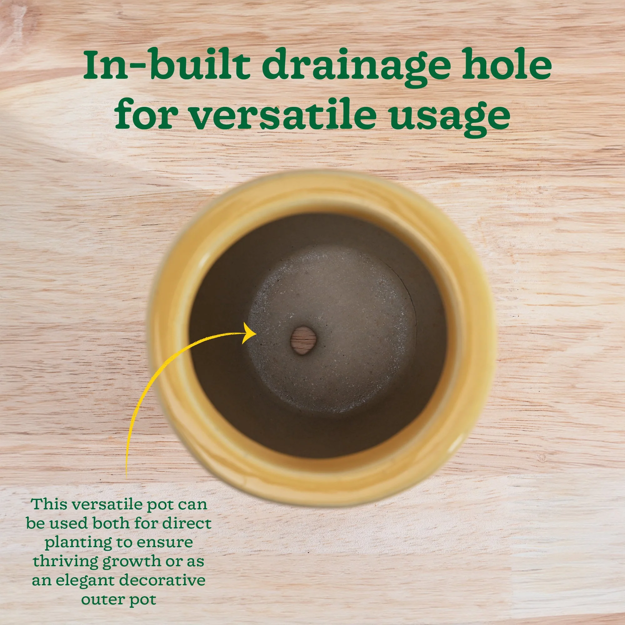 Nature's Hum Slim Ceramic Planter - Image 56