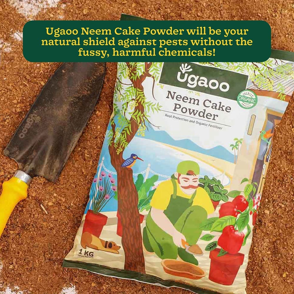 Neem Cake Powder - 1 kg - Image 5