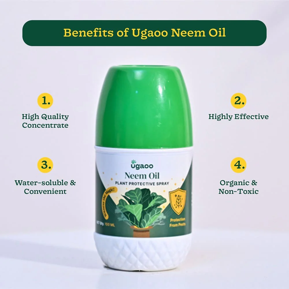 Neem Oil - 100 ml - Image 4