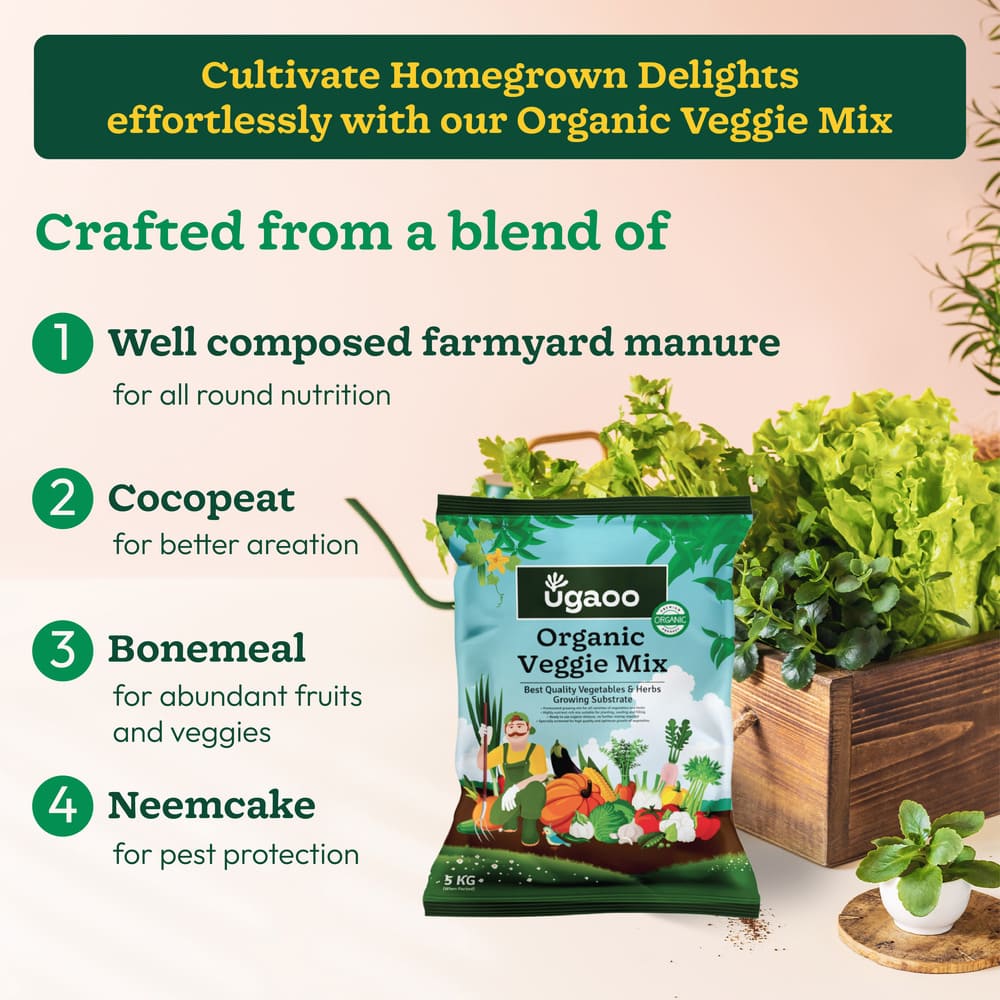 Organic Veggie Mix - 5 Kg - Image 5