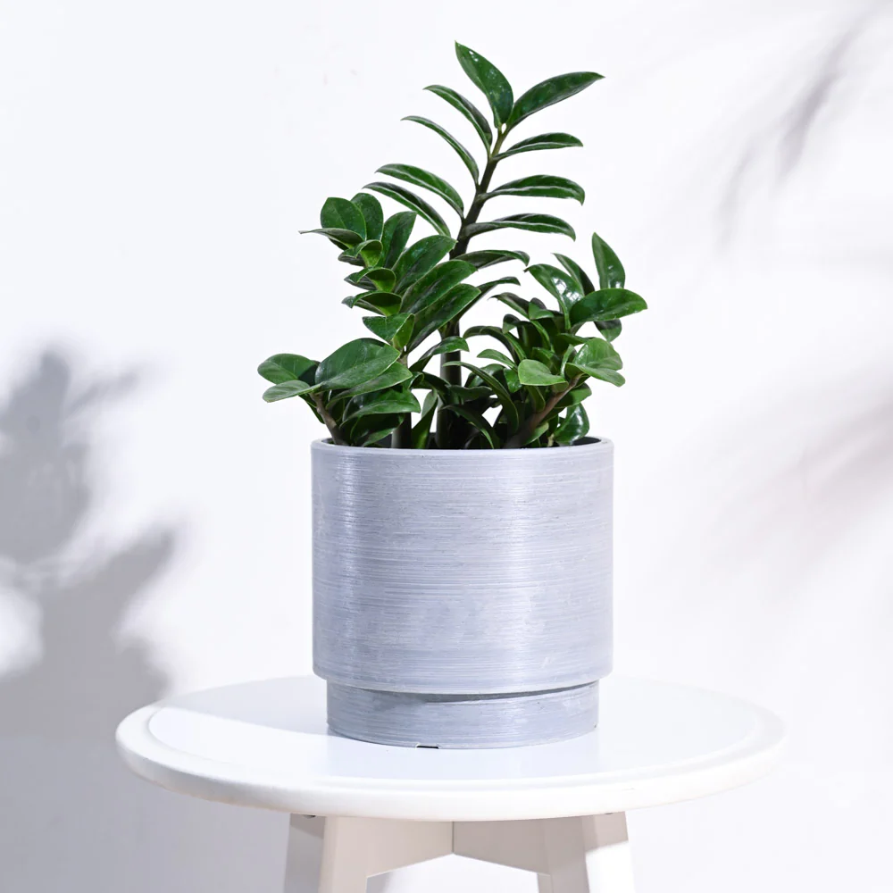 Oslo Planter - Image 16