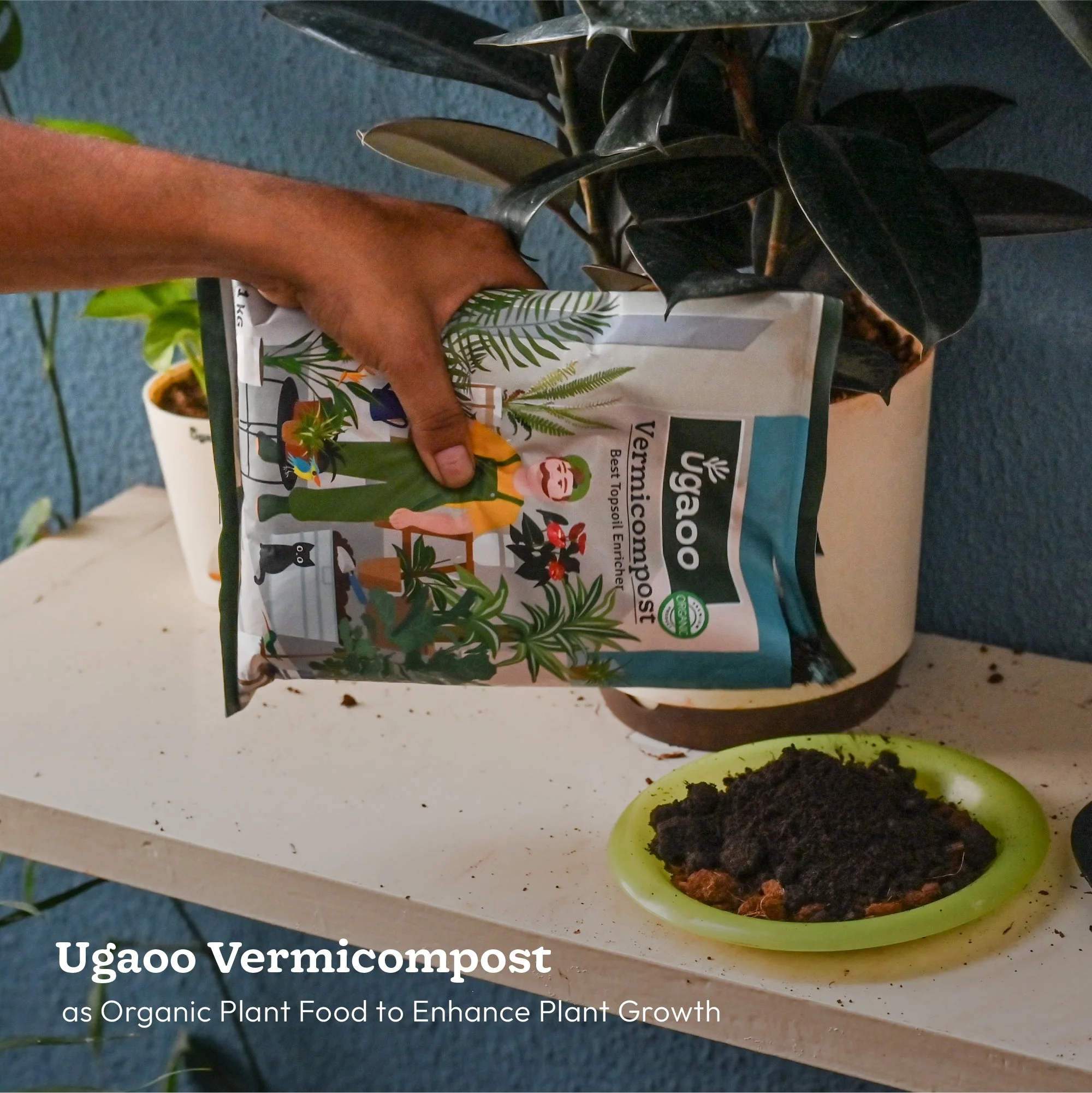 Outdoor Gardening Kit - Image 4