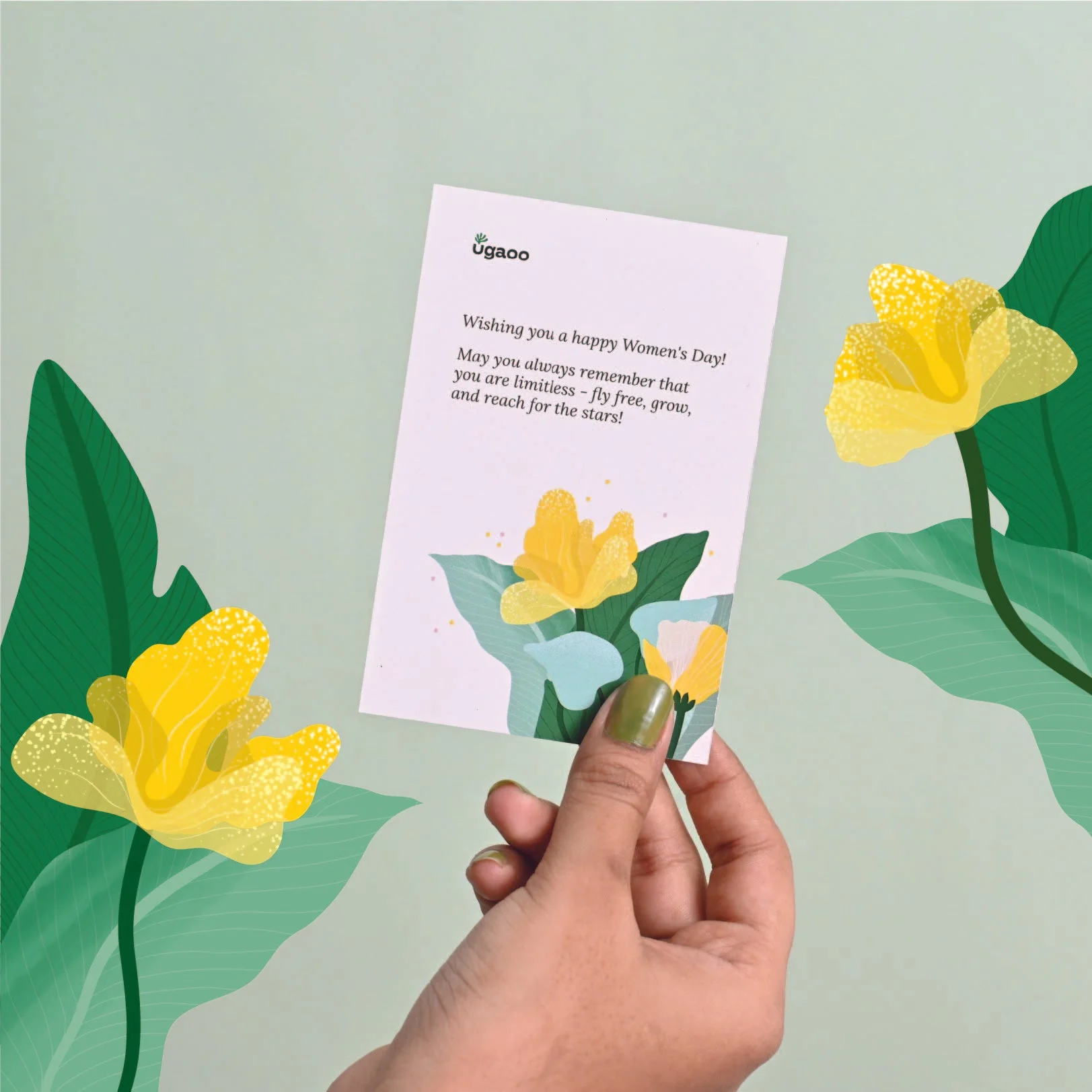 Oxycardium Green Plant Gift for Women's Day - Image 3