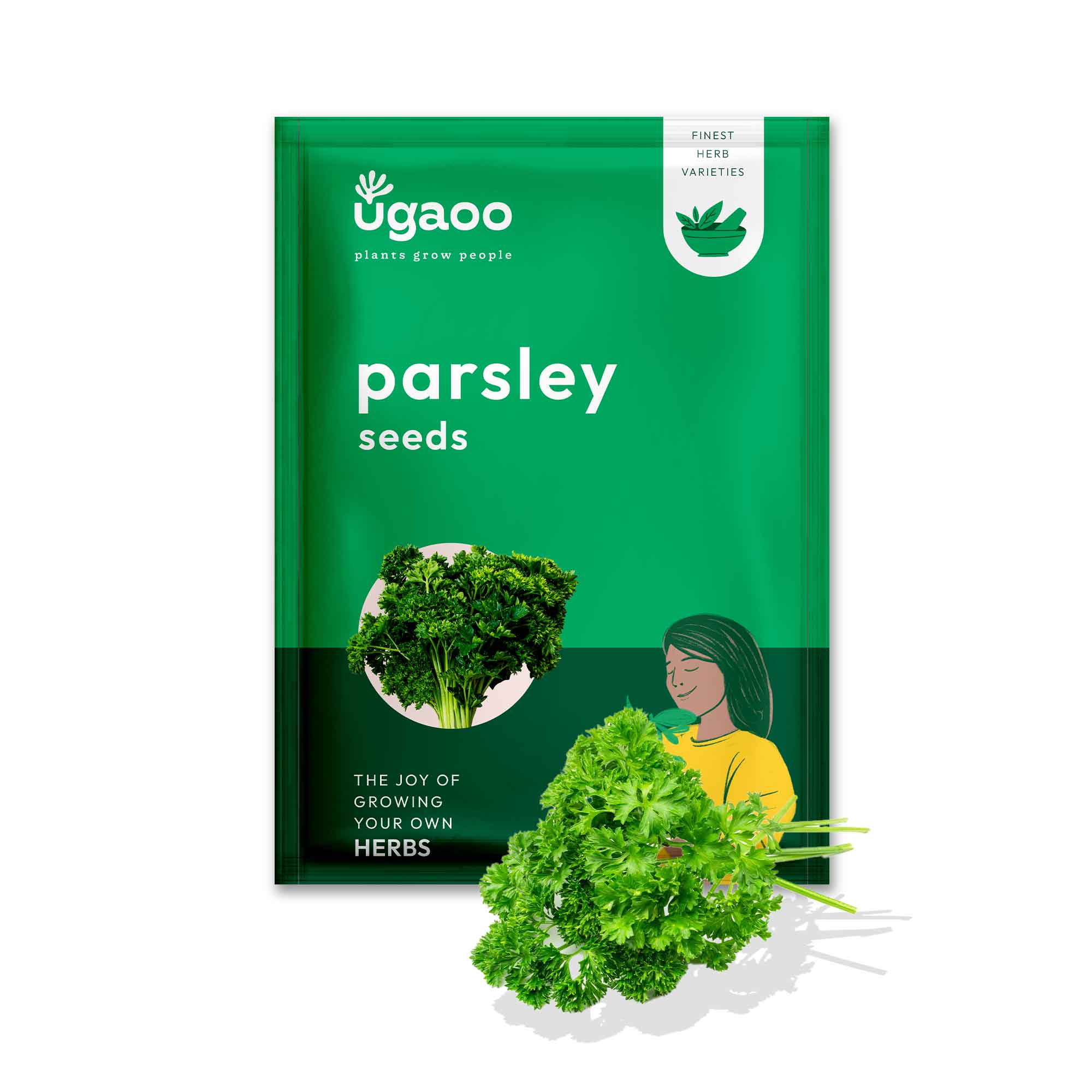 Parsley Seeds - Image 11