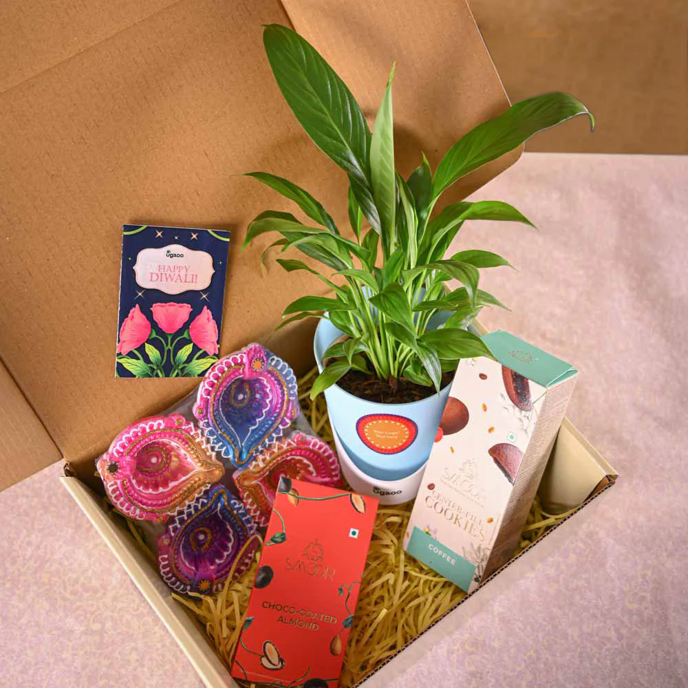 Peace lily and Smoor chocolates Diwali Gift hamper - Image 8