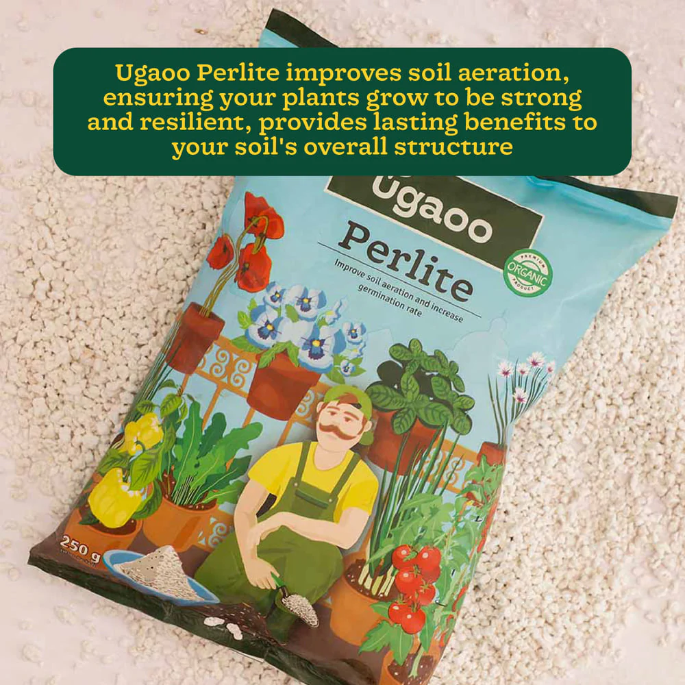 Perlite - 250gm - Image 6