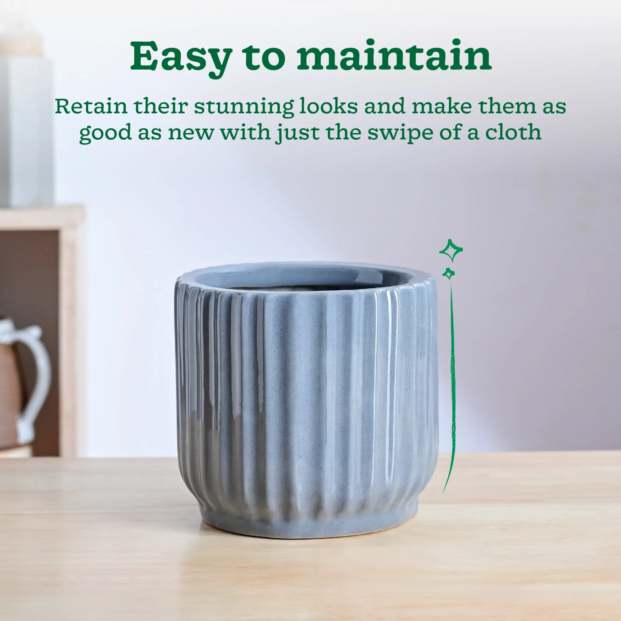 Phoenix ceramic Planter - Image 11