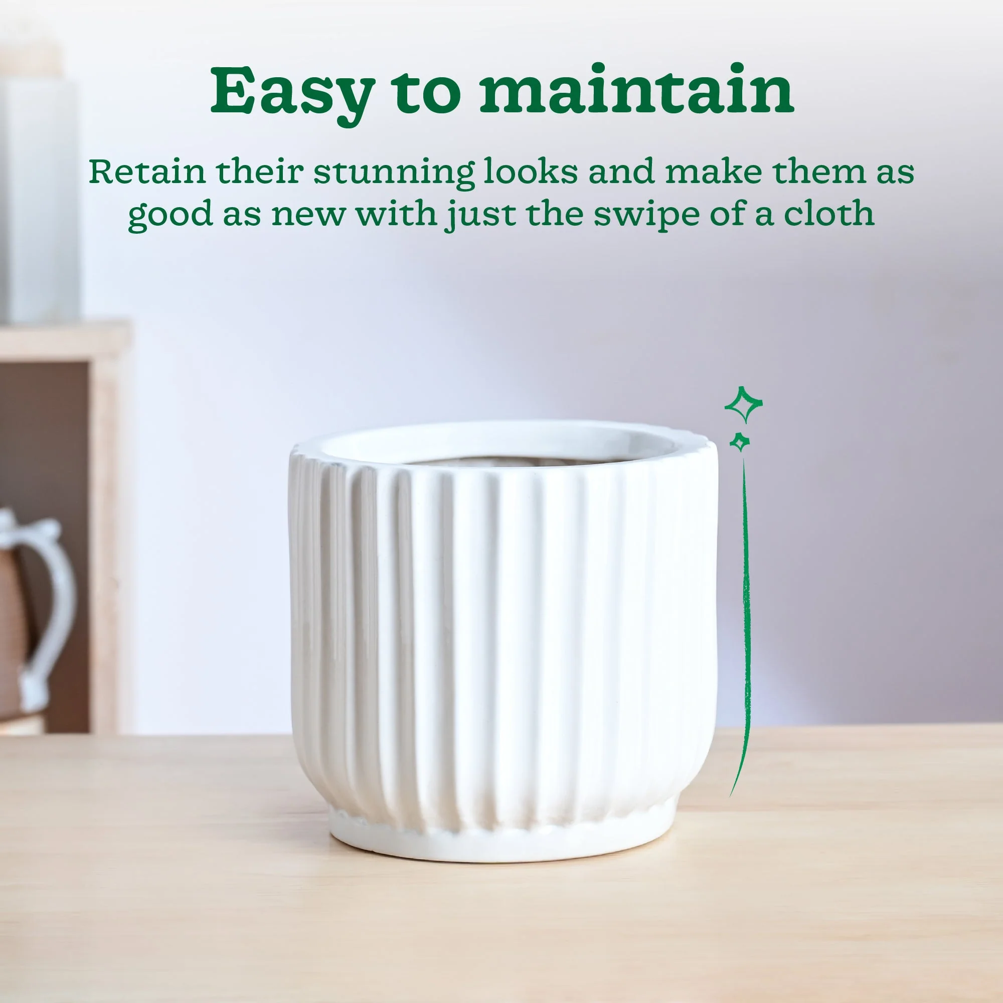 Phoenix ceramic Planter - Image 4