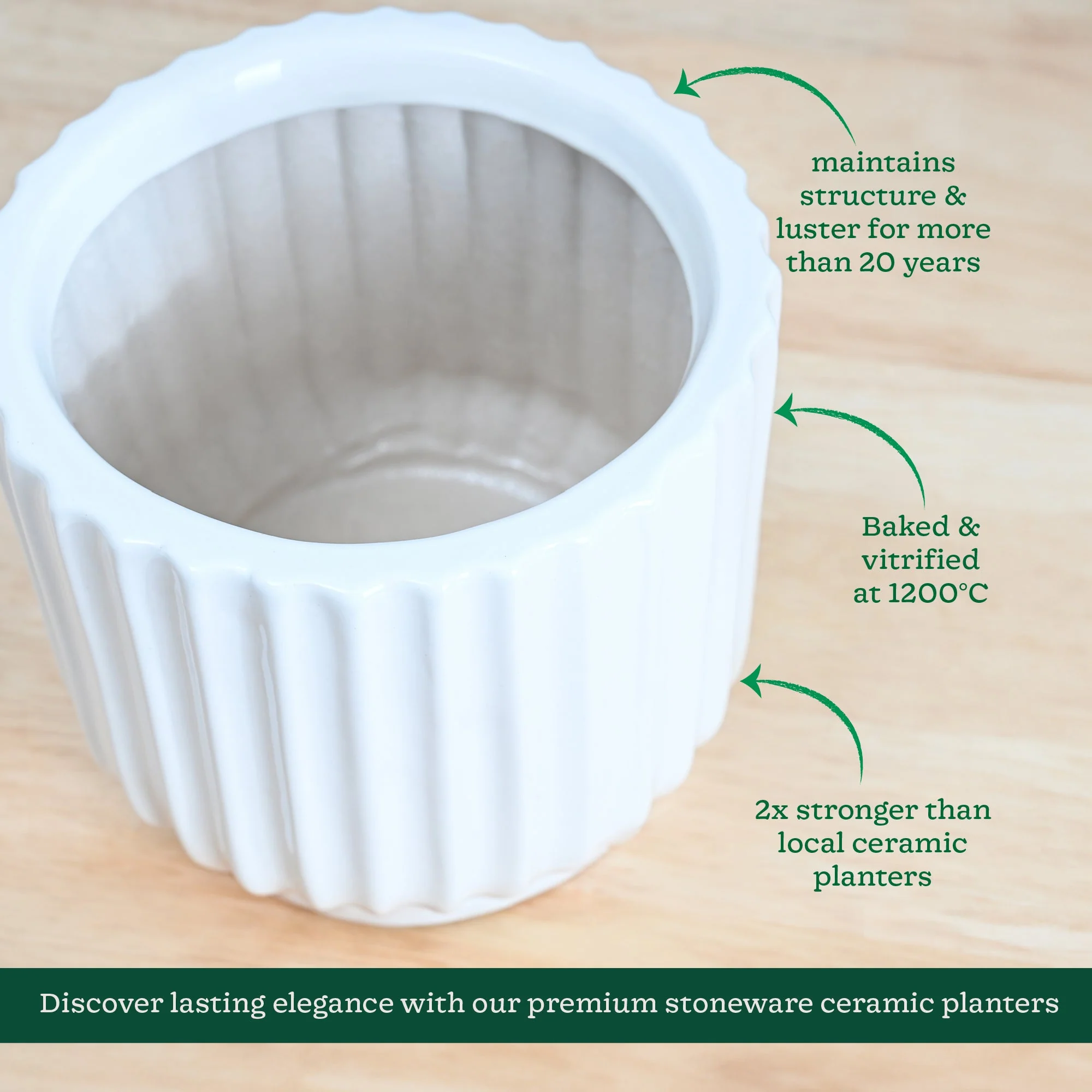 Phoenix ceramic Planter - Image 5