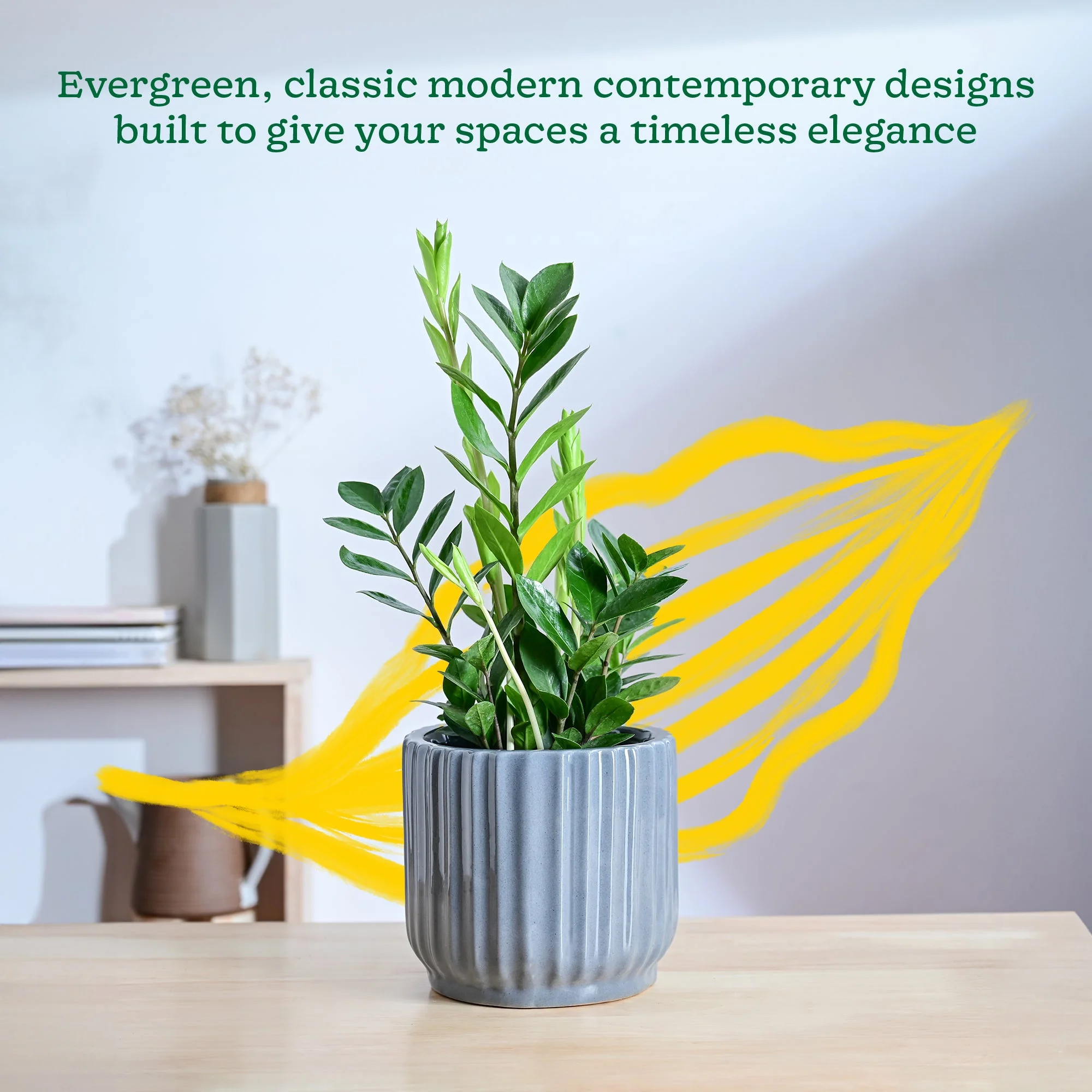 Phoenix ceramic Planter - Image 9