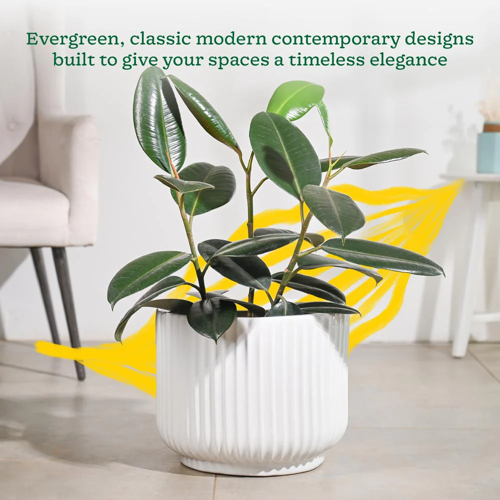 Phoenix Ceramic Pot (12.5 Inch Diameter) - Image 10